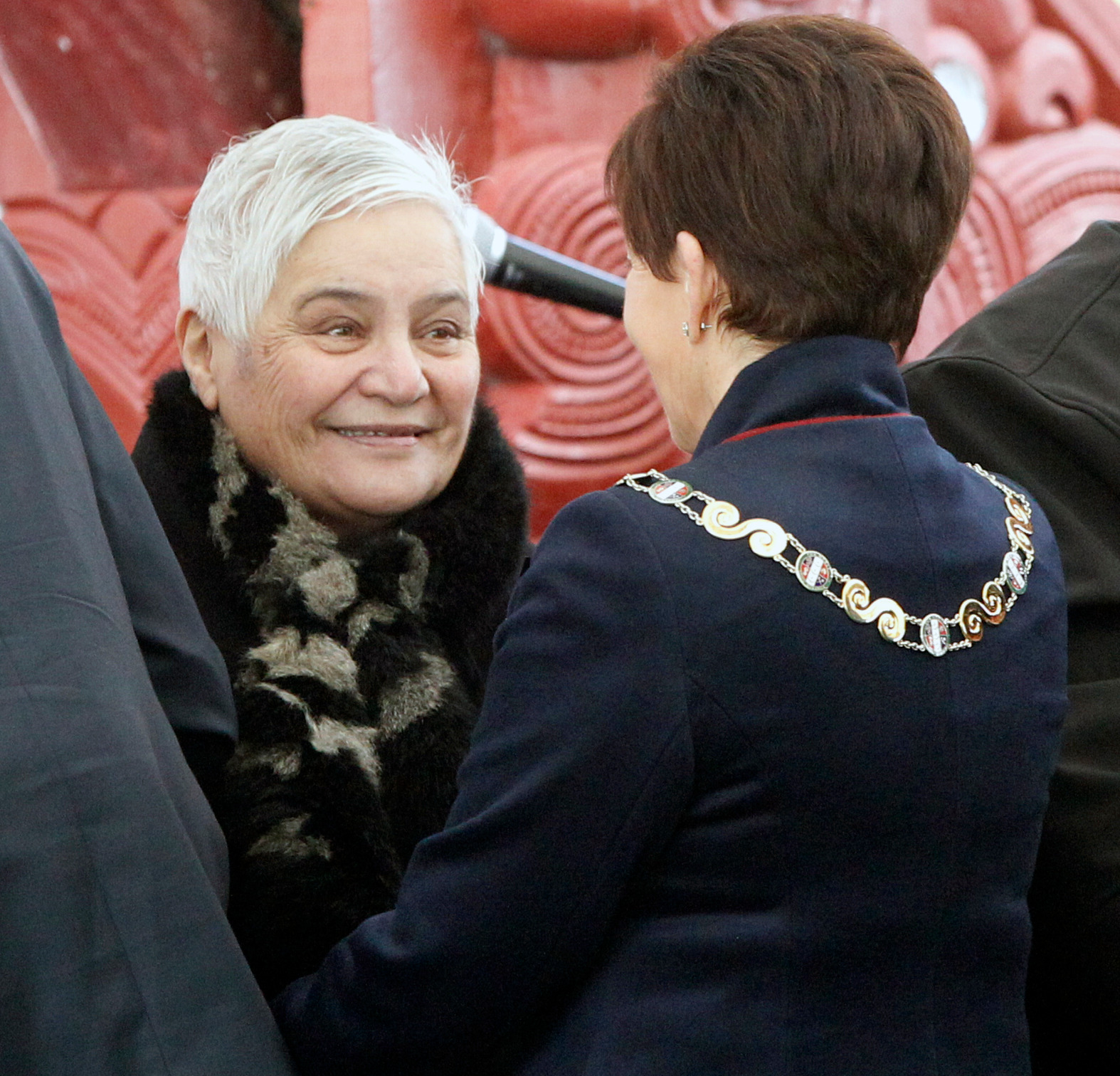 Tariana Turia was made Dame Companion of the New Zealand Order of Merit for her services as a Member of Parliament in the 2015 New Year Honours list. Photo / Stuart Munro
