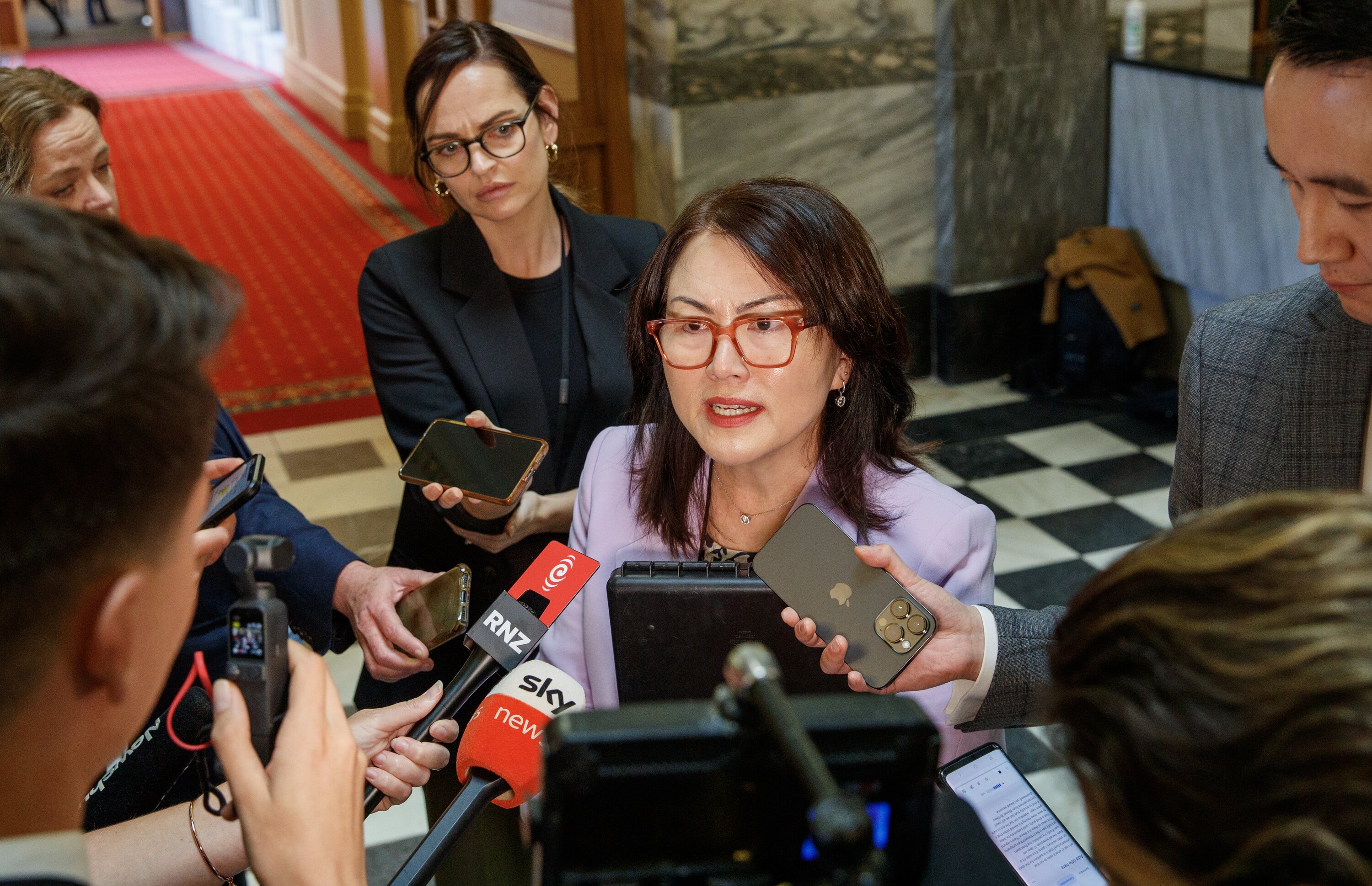 Melissa Lee has been demoted from the Cabinet. Photo / Mark Mitchell  