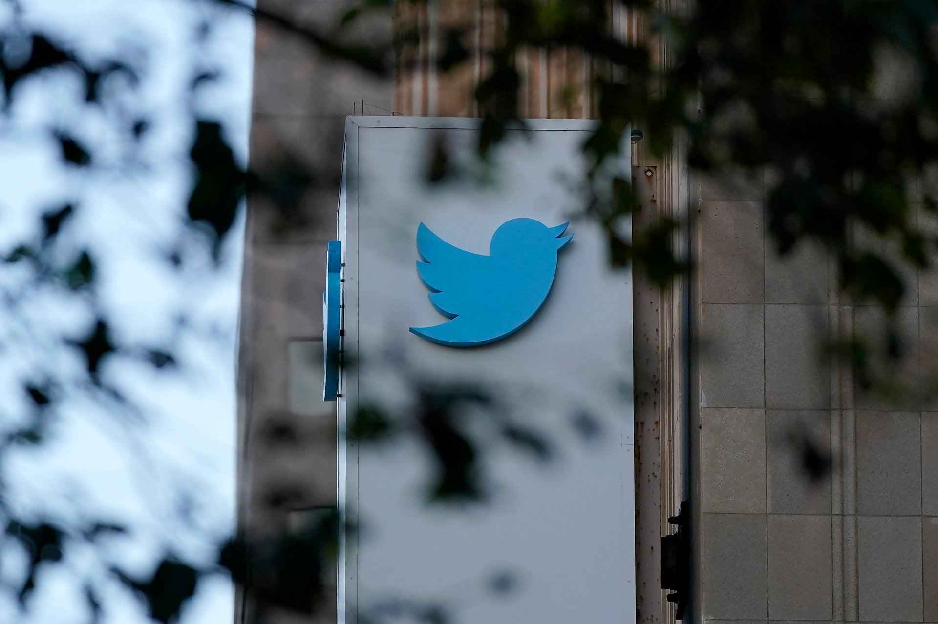 Twitter assessed just over half of the notifications it received about illegal hate speech within 24 hours, down from 82 per cent in 2021. Photo / AP