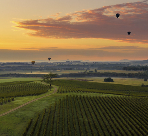 Hot Air Ballooning, Hunter Valley. Photo / Filippo Rivetti
