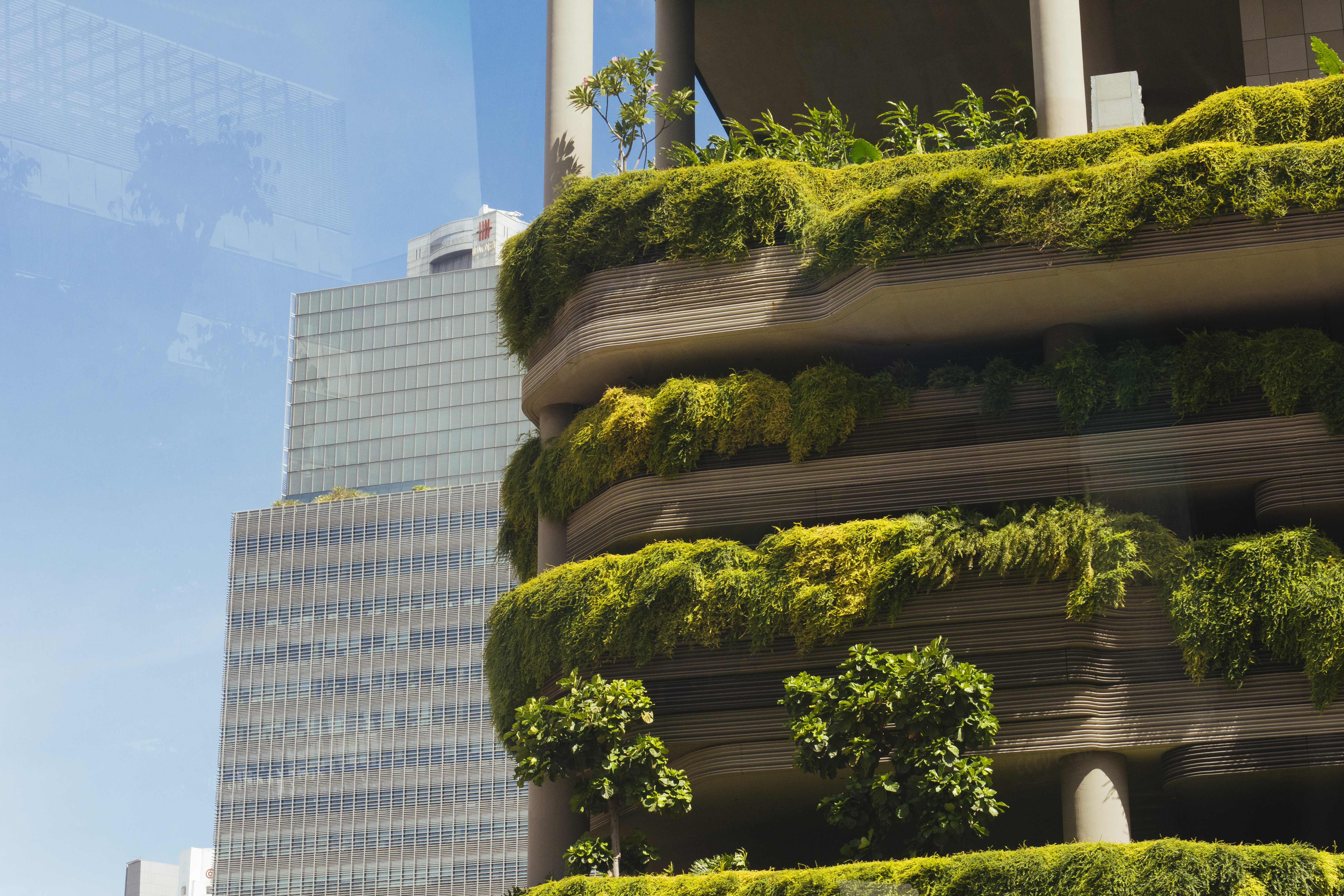 Singapore uses “biophilic” architecture to invite the wild back into the metropolis.
Photo / Getty Images