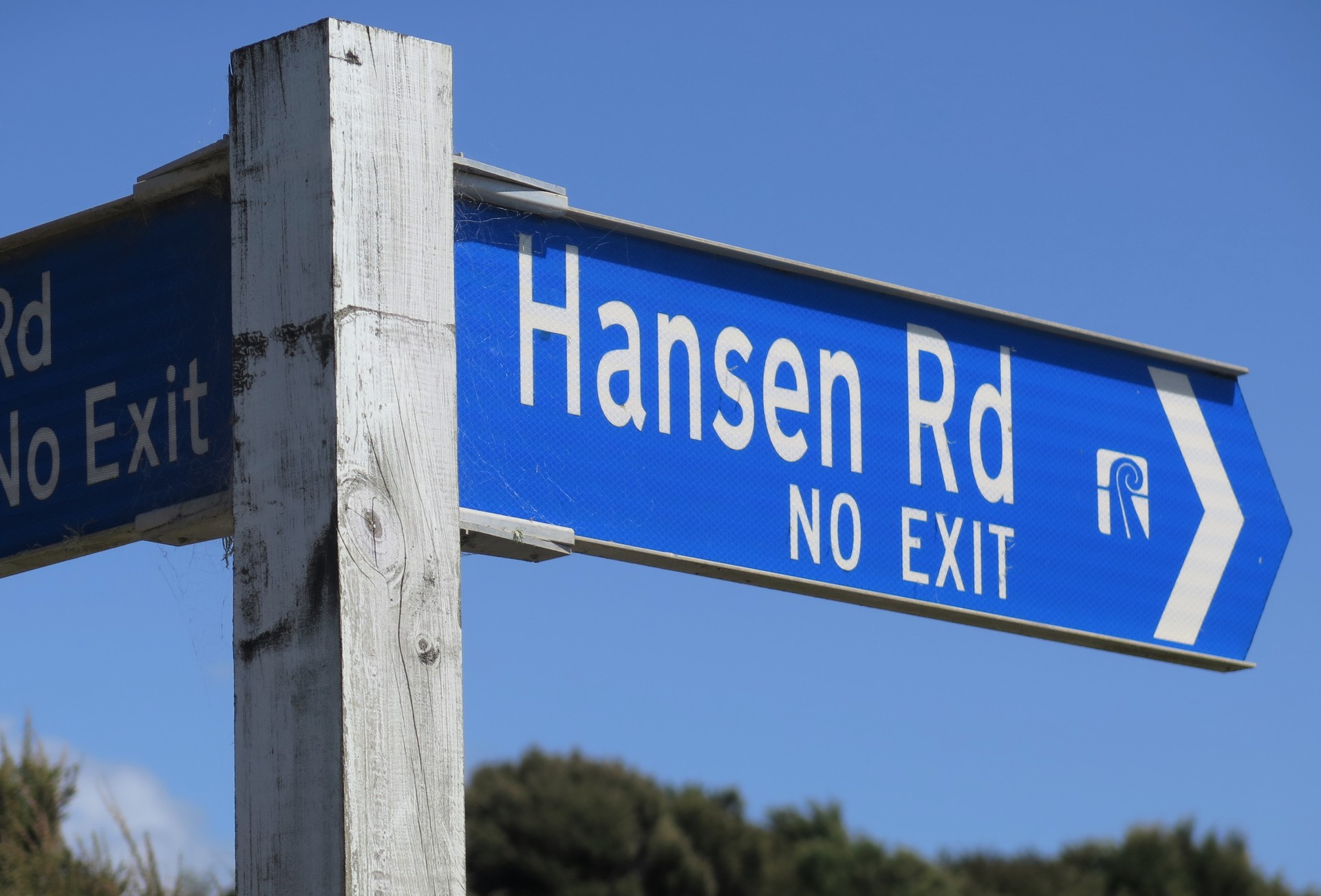 Two more kiwi were killed on Hansen Rd, on the Purerua Peninsula, around January 21. Photo / Peter de Graaf
