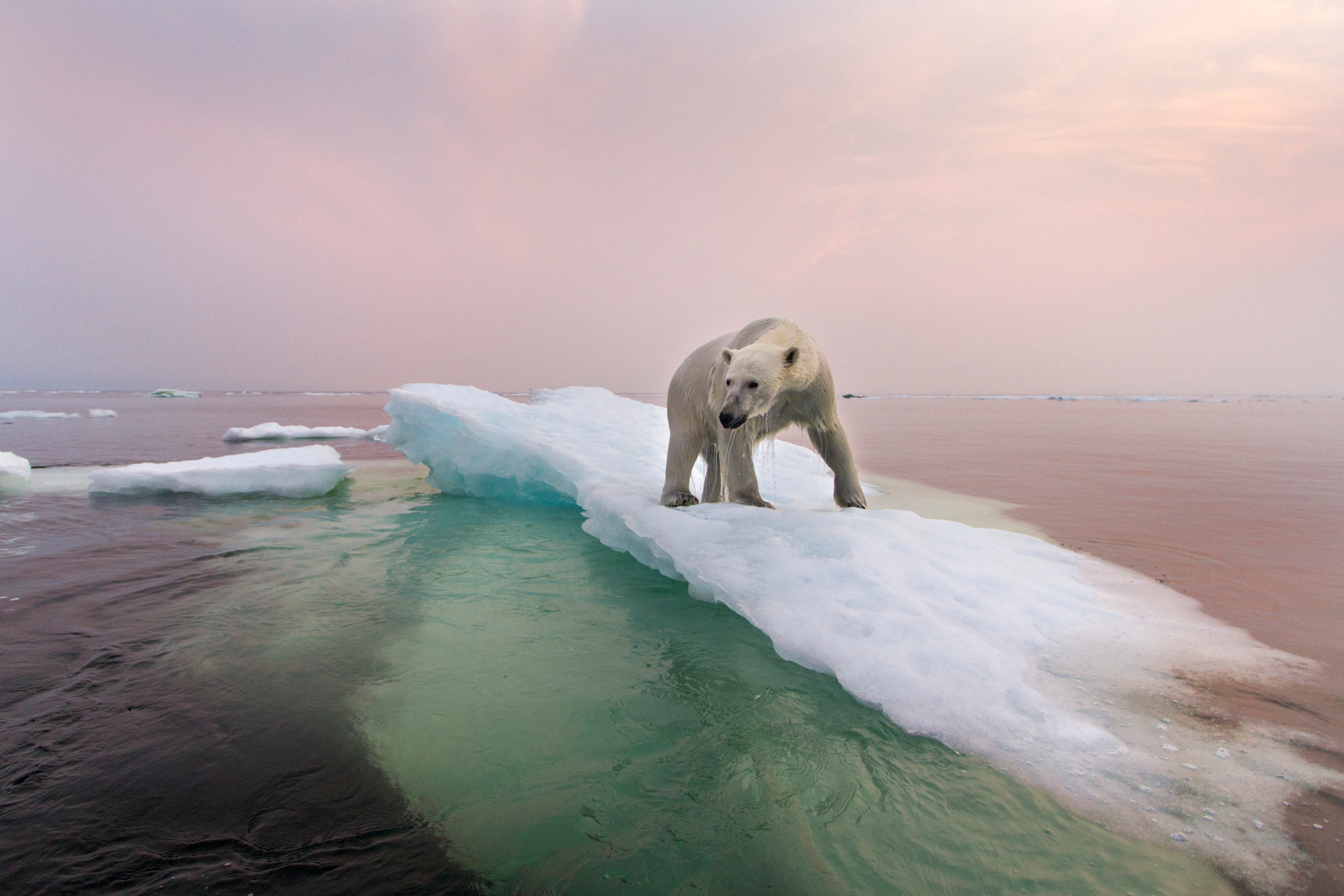 There are basic steps you can take to live a more sustainable lifestyle and help combat climate change. Photo / Getty Images