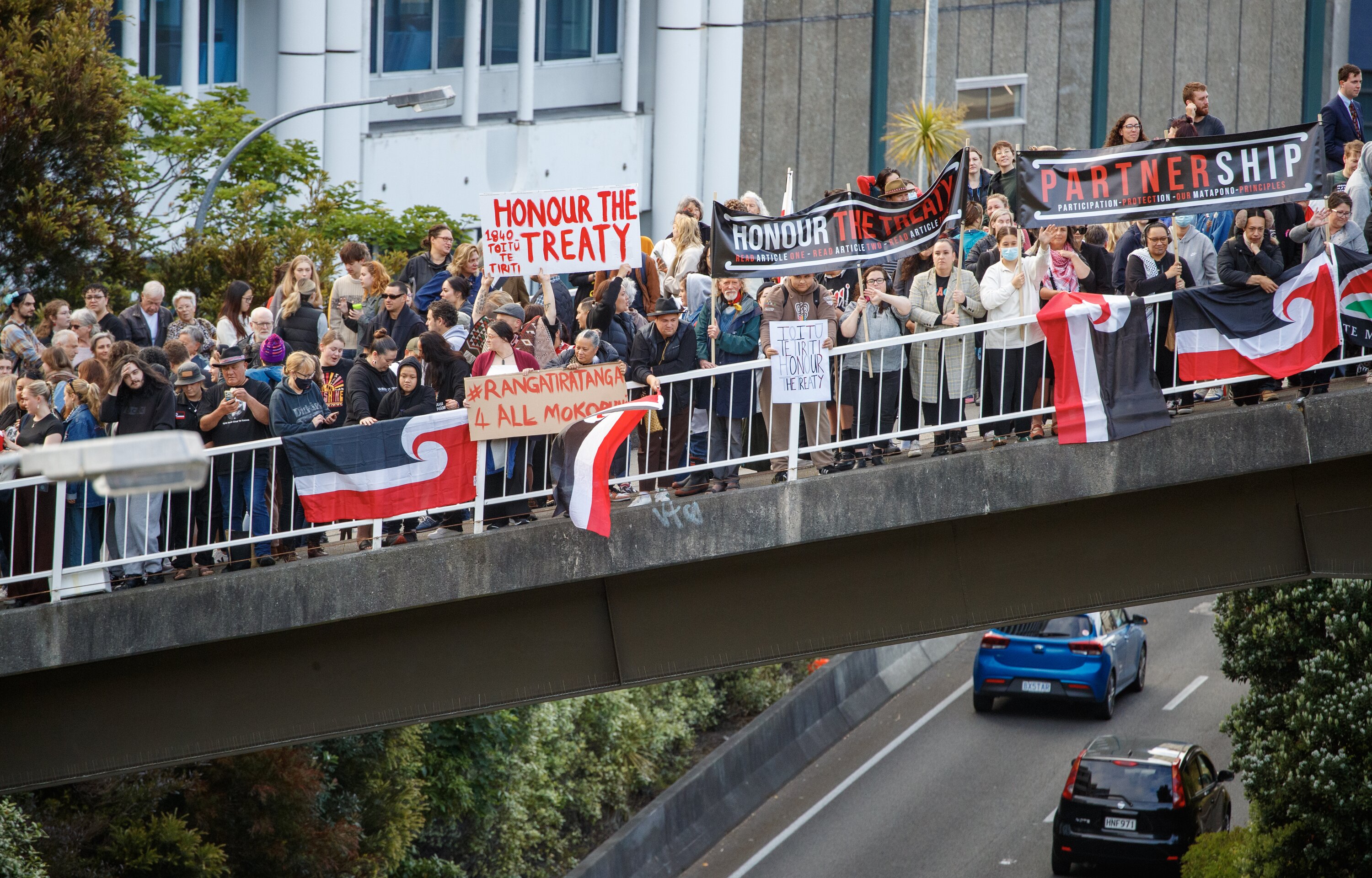 National Māori Action Day protesters on the Aurora Terrace bridge across State Highway 1 were out in Wellington on December 5. Photo / Mark Mitchell