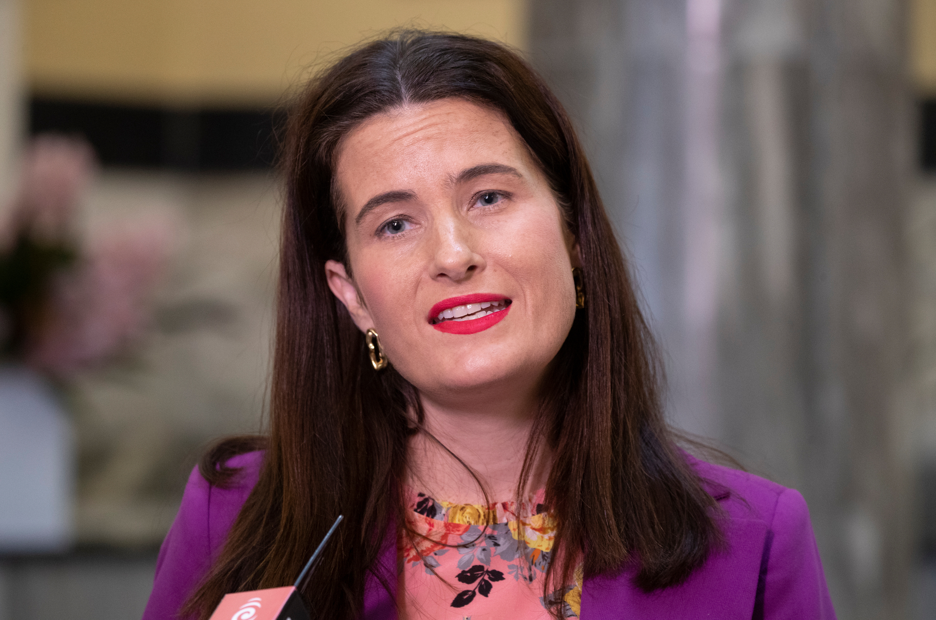 National's housing spokeswoman Nicola Willis has called on the Government to end what she labels a cruel no evictions policy. Photo / Mark Mitchell