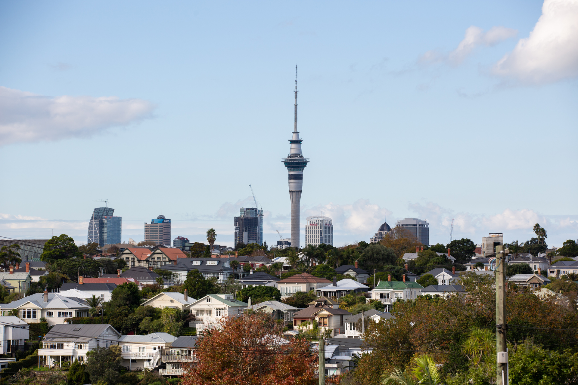 House prices in Auckland and all NZ's main centres have been slumping in 2024. Photo / Sylvie Whinray
