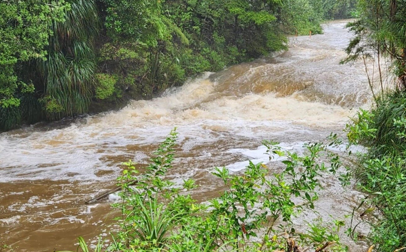 Police and emergency services were searching with helicopters and rafts. Photo / Lucy Xia, RNZ