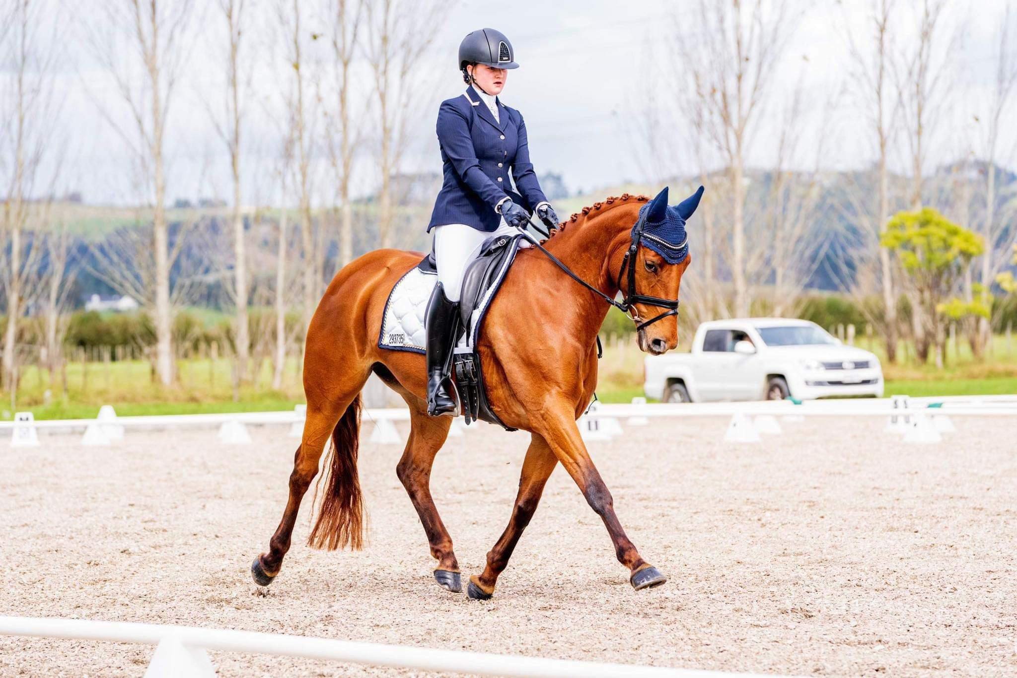 Teenage equestrian Charlotte Thorpe [pictured on Wild Rose MH] has her sights set on Olympic stardom.