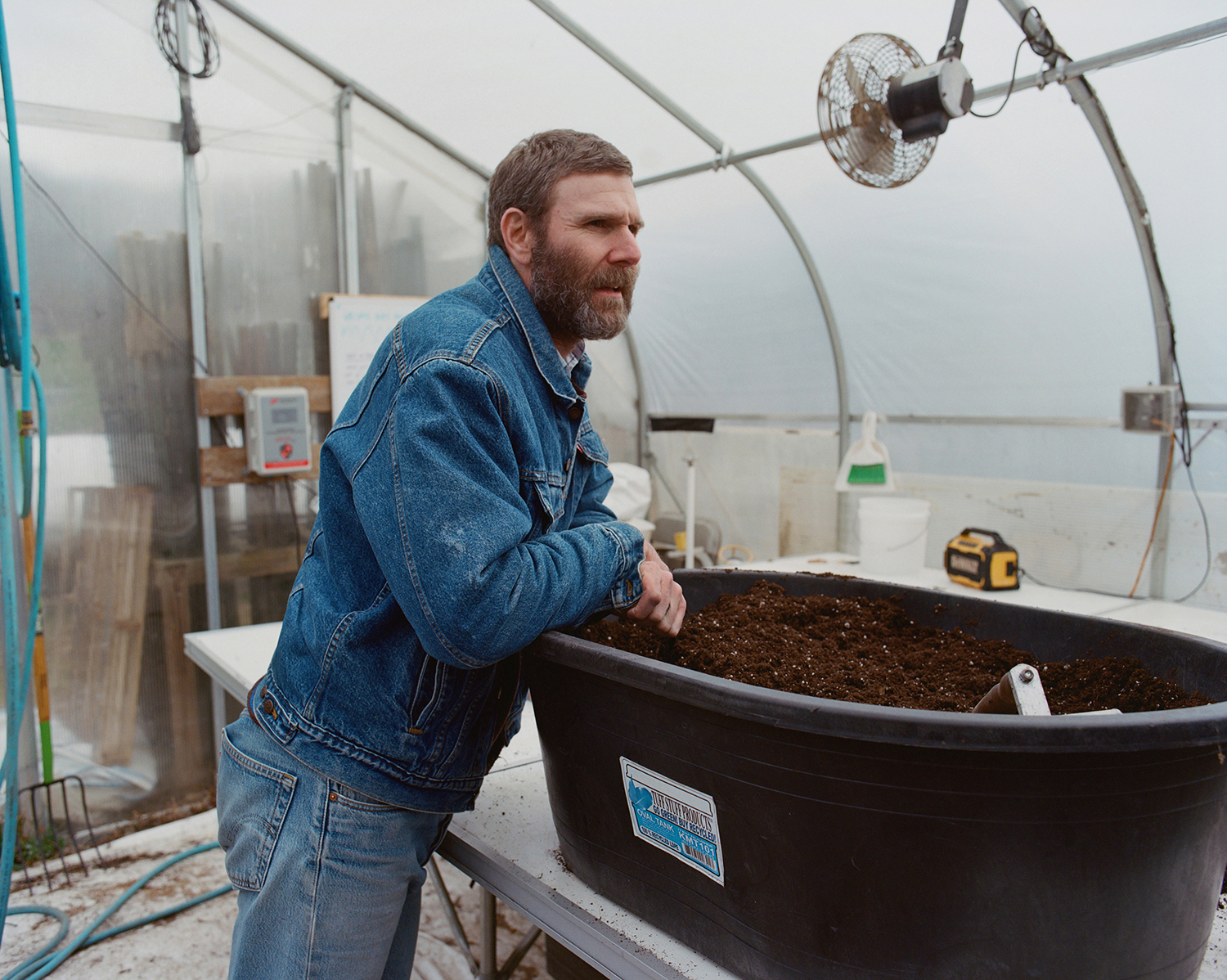 Dan Colen in the greenhouse at Sky High Farm, which donated 19,306 pounds of vegetables and fresh herbs to pantries in the Hudson Valley area. Photo / Alex Hodor-Lee, The New York Times