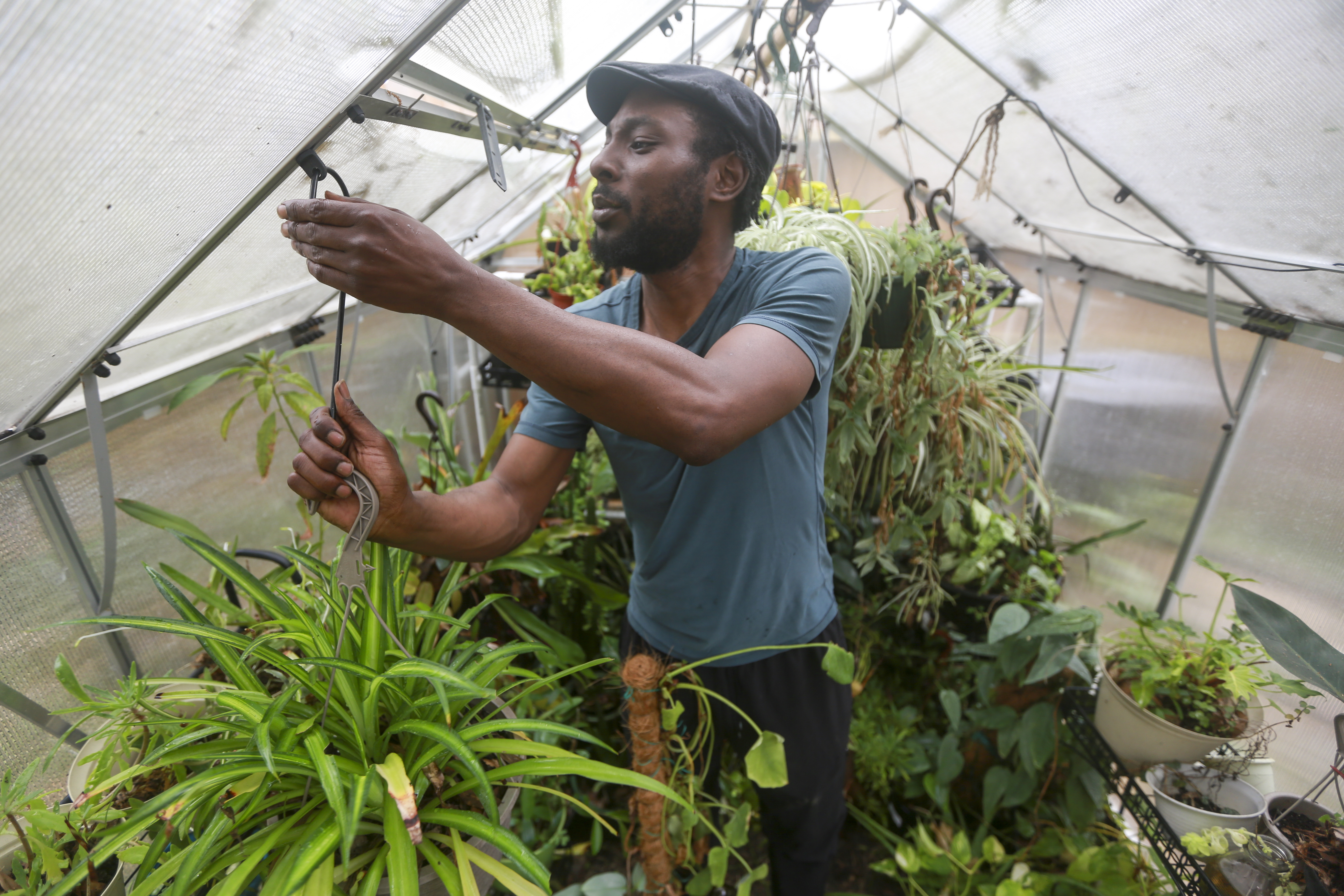 Marcus Bridgewater, who owns a business and posts TikTok gardening videos, wants Congress to be focused on those issues, not whether the app is Chinese-owned. Photo / AP