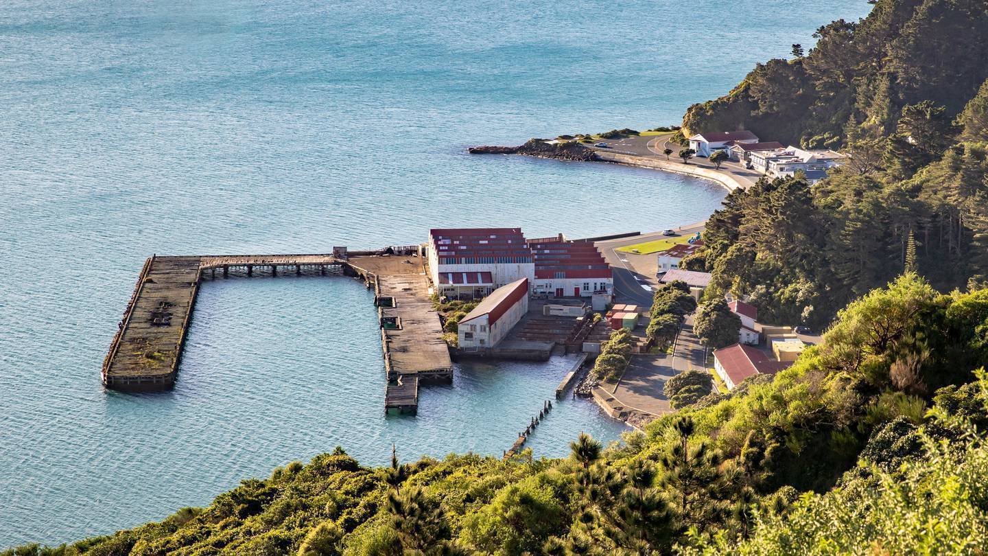 Shelly Bay, Miramar. Photo / Mark Mitchell