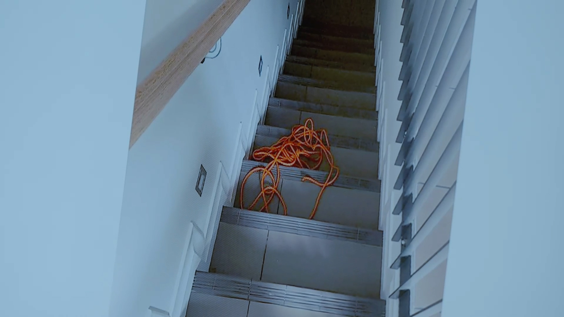 A police evidence photo of rope found at Philip Polkinghorne's Remuera home.