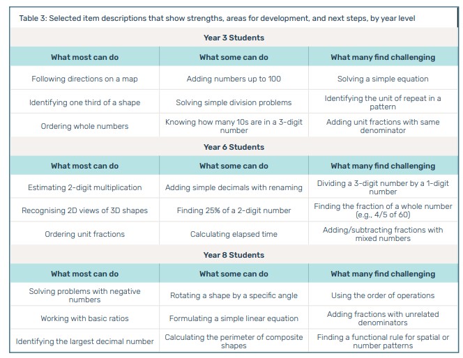 Summary of strengths and weakness in maths assessment.