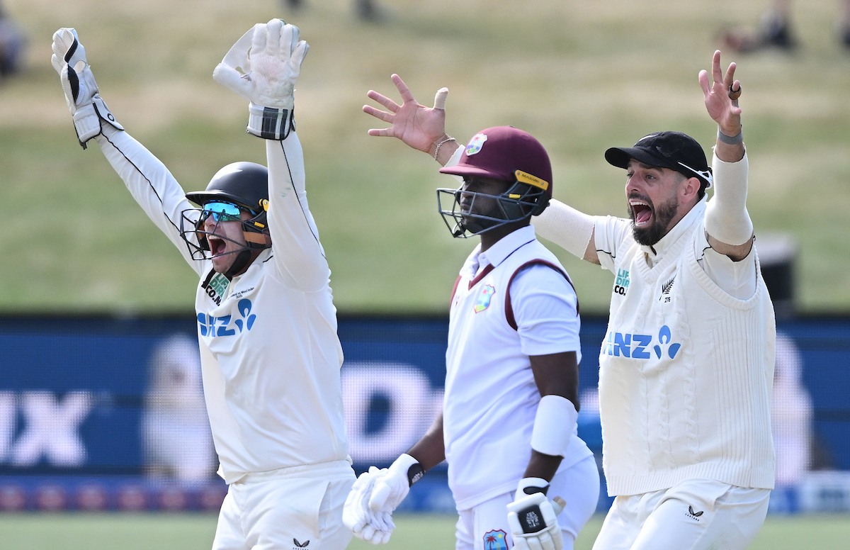 The Black Caps appeal for a wicket against the West Indies on day five in Christchurch. Photo / Photosport