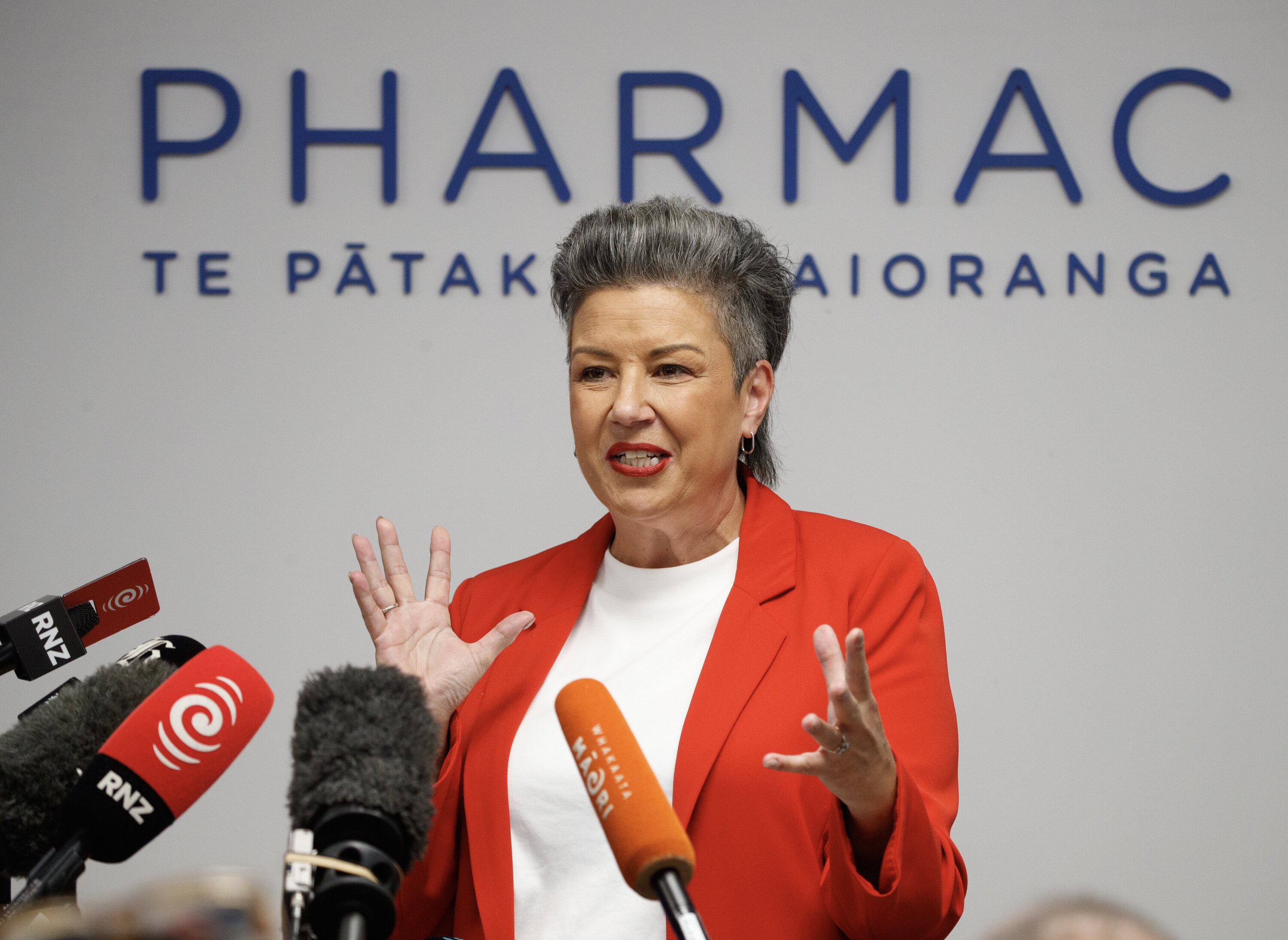 Paula Bennett has been handed a 63.2% pay increase as Pharmac chairwoman. Photo / Mark Mitchell