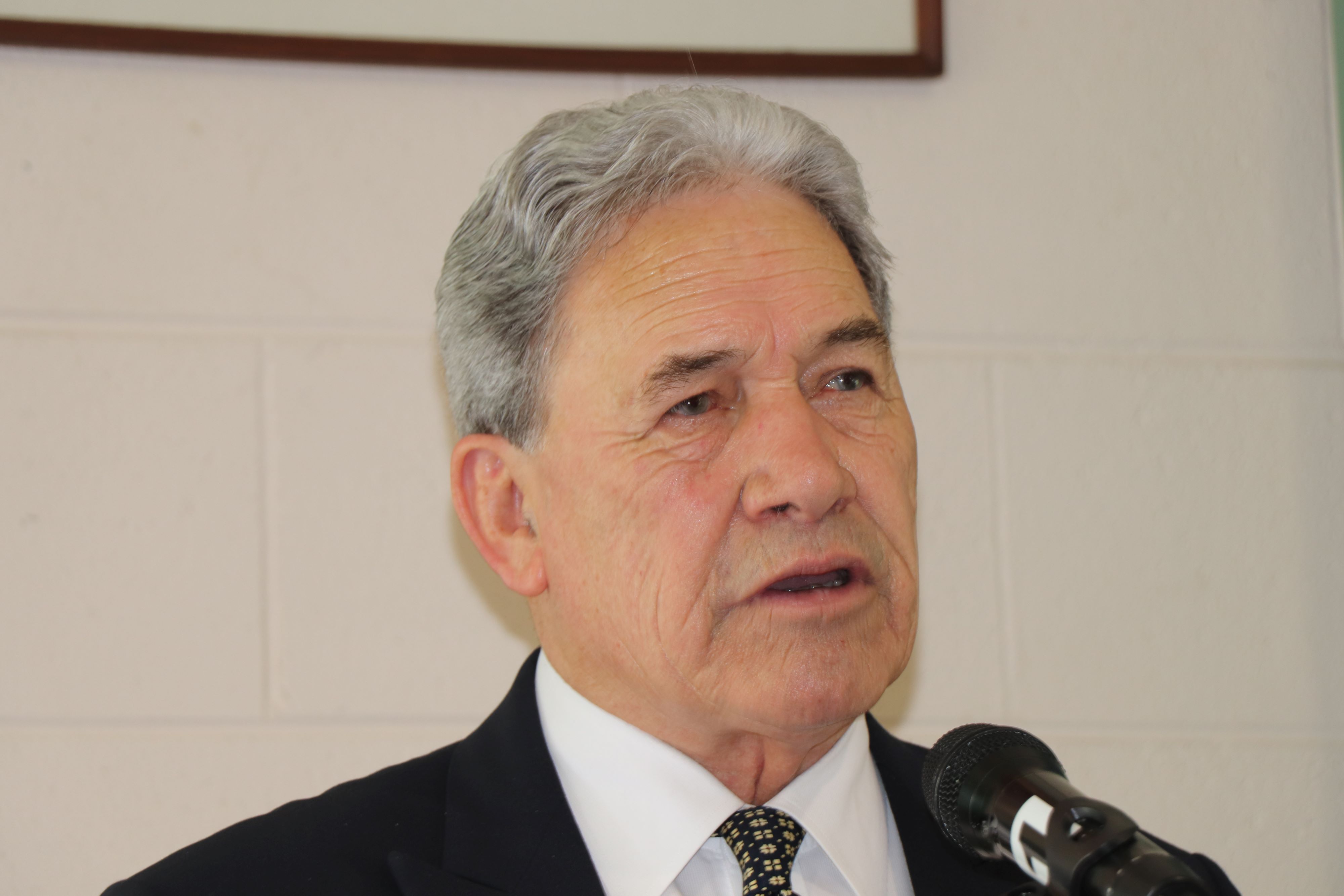 Winston Peters wants to build a new prison solely for gang members. Photo / Dan Hutchinson