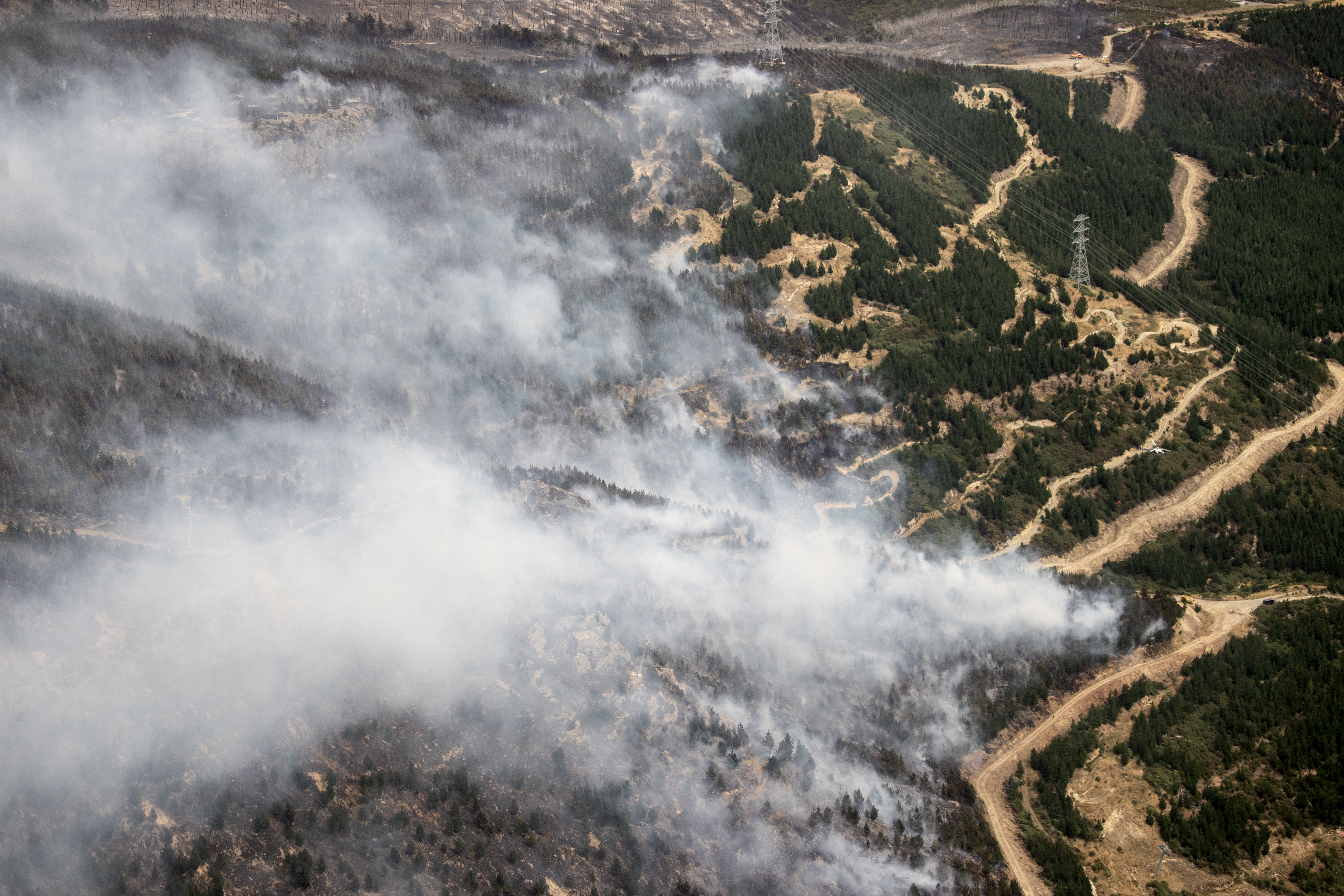 The fire was reported at 2.45pm on Wednesday on Worsleys Rd and by 7pm had spread over an area of 100 hectares. Photo / George Heard