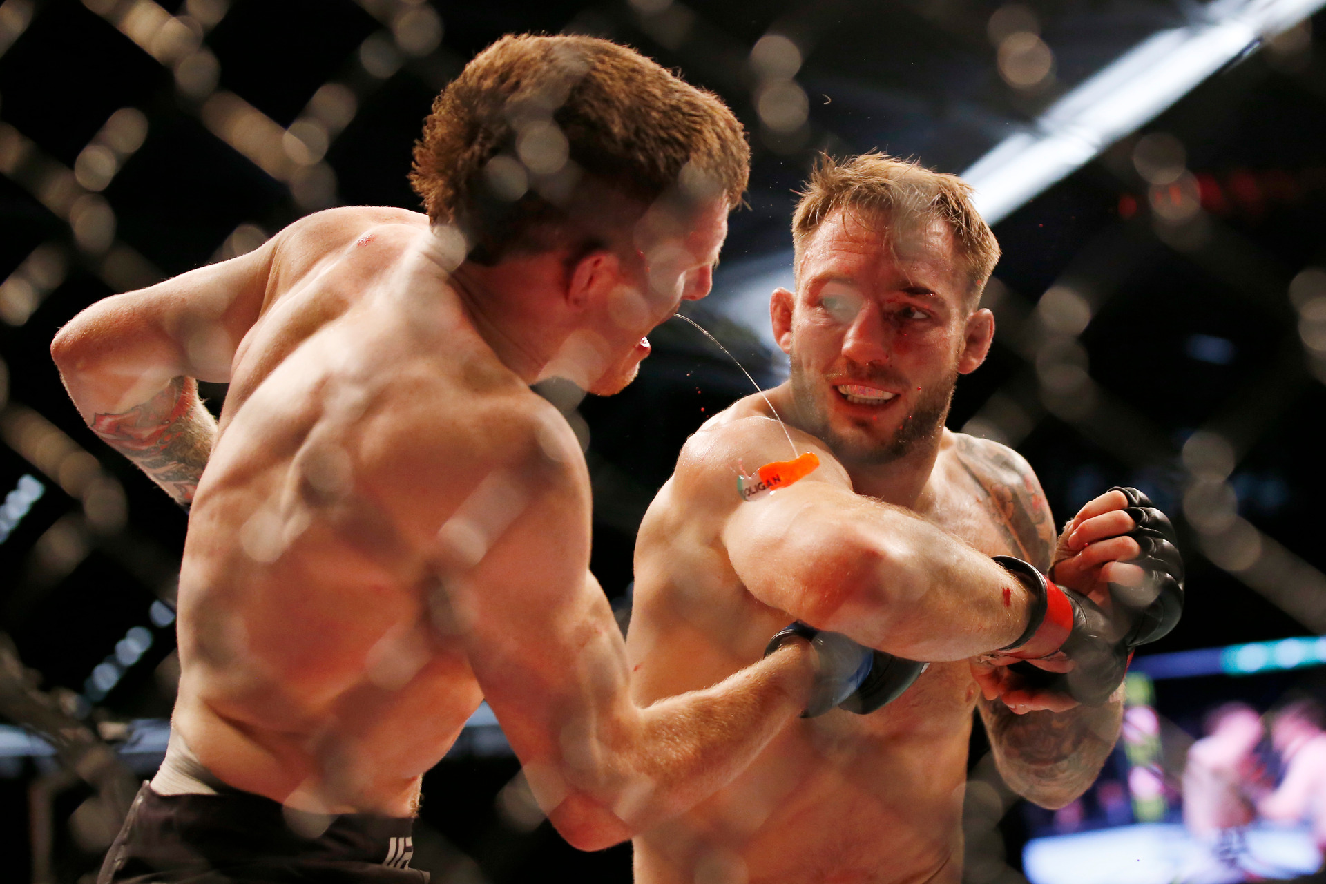 MMA Preview – Magomed Mustafaev vs Brad Riddell at UFC Fight Night