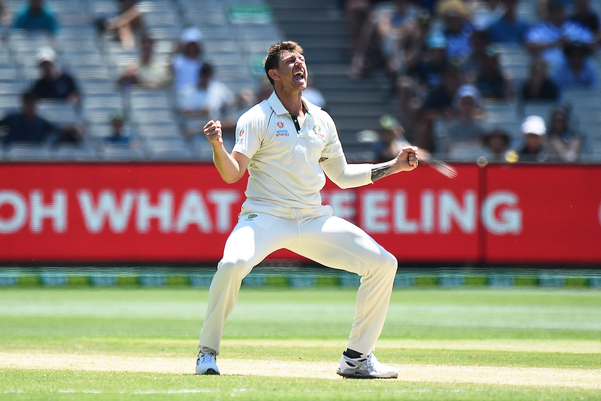 James Pattinson celebrates the wicket of Kane Williamson. Photo / Photosport