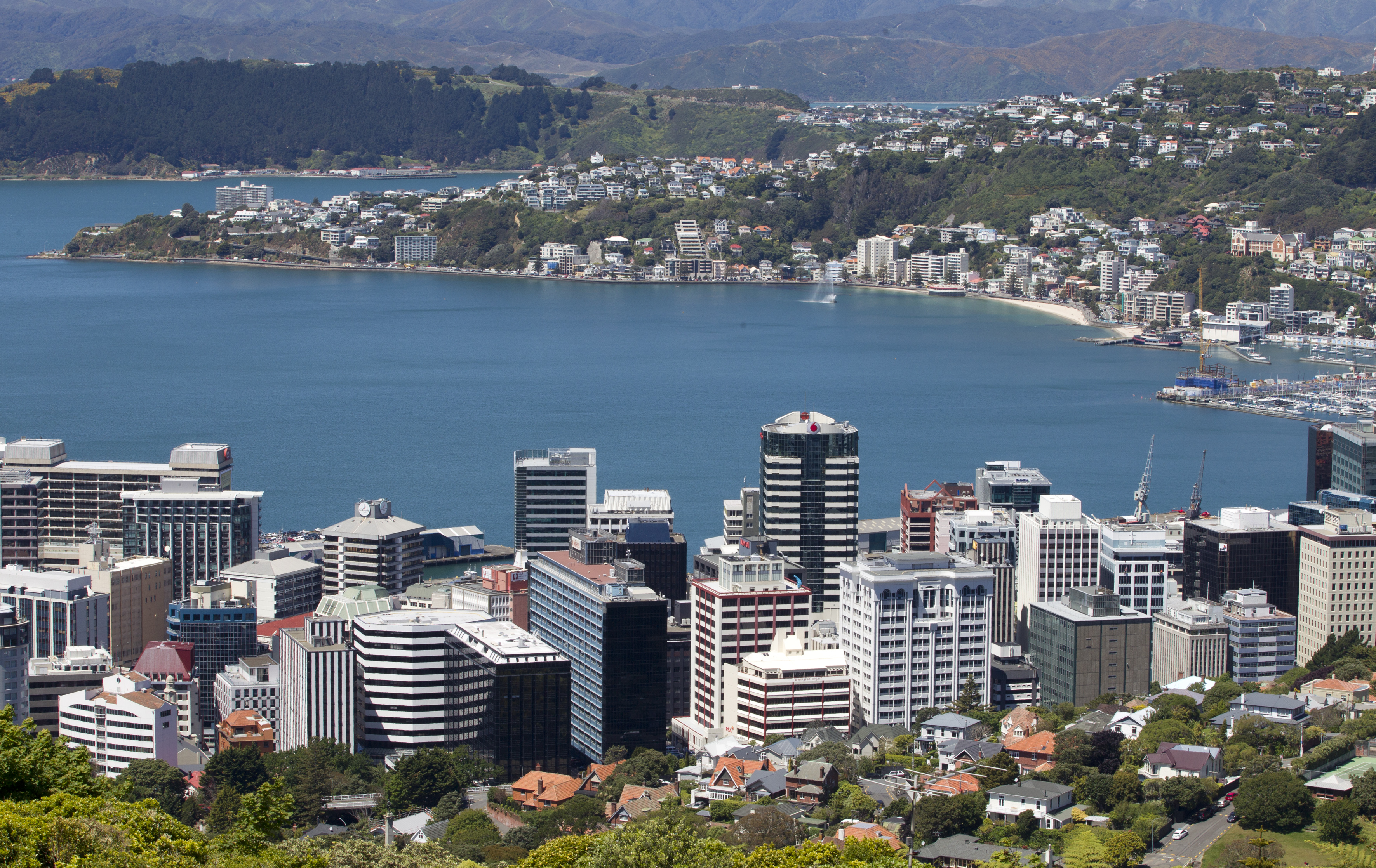 Insurers already rate Wellington a far higher risk than Auckland, with commercial landlords in the capital facing a stiff excess of 5% of the sum insured. Photo / Mark Mitchell