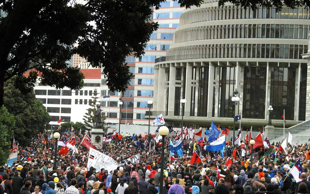 An estimated 10,000 people at Parliament after the Hikoi to protest the proposed seabed and foreshore legislation. Photo / AFP, RNZ