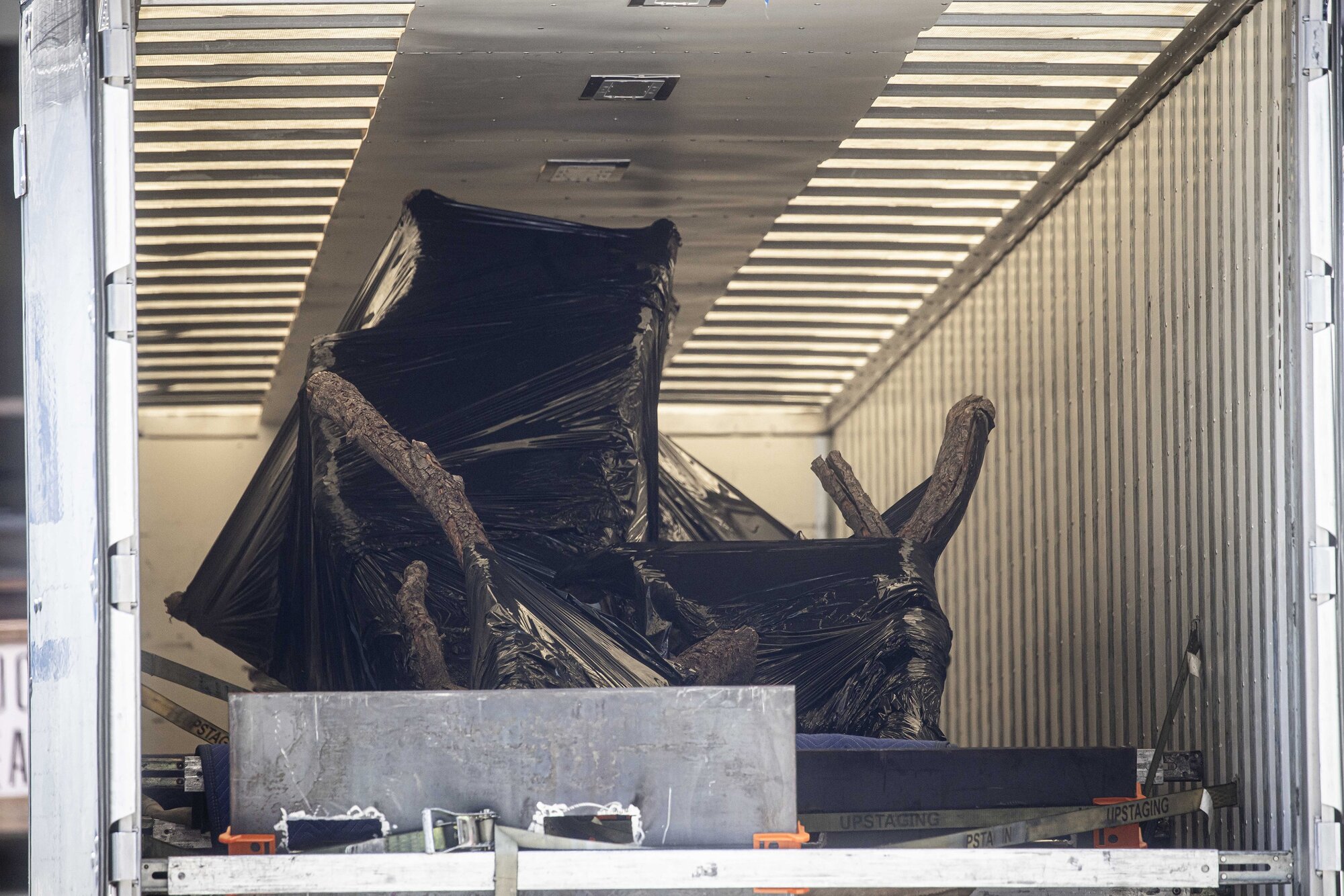 Objects resembling tree trunks and branches, wrapped in dark plastic, hinted at the elaborate transformation planned for the celebration. “It is a controlled environment and a blank canvas,” said Sonal J. Shah, a luxury wedding planner in New York City. “The couple can do whatever they want with it.” Photo / Dave Sanders, The New York Times