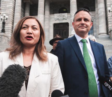 Greens co-leaders Marama Davidson and James Shaw. Photo / RNZ