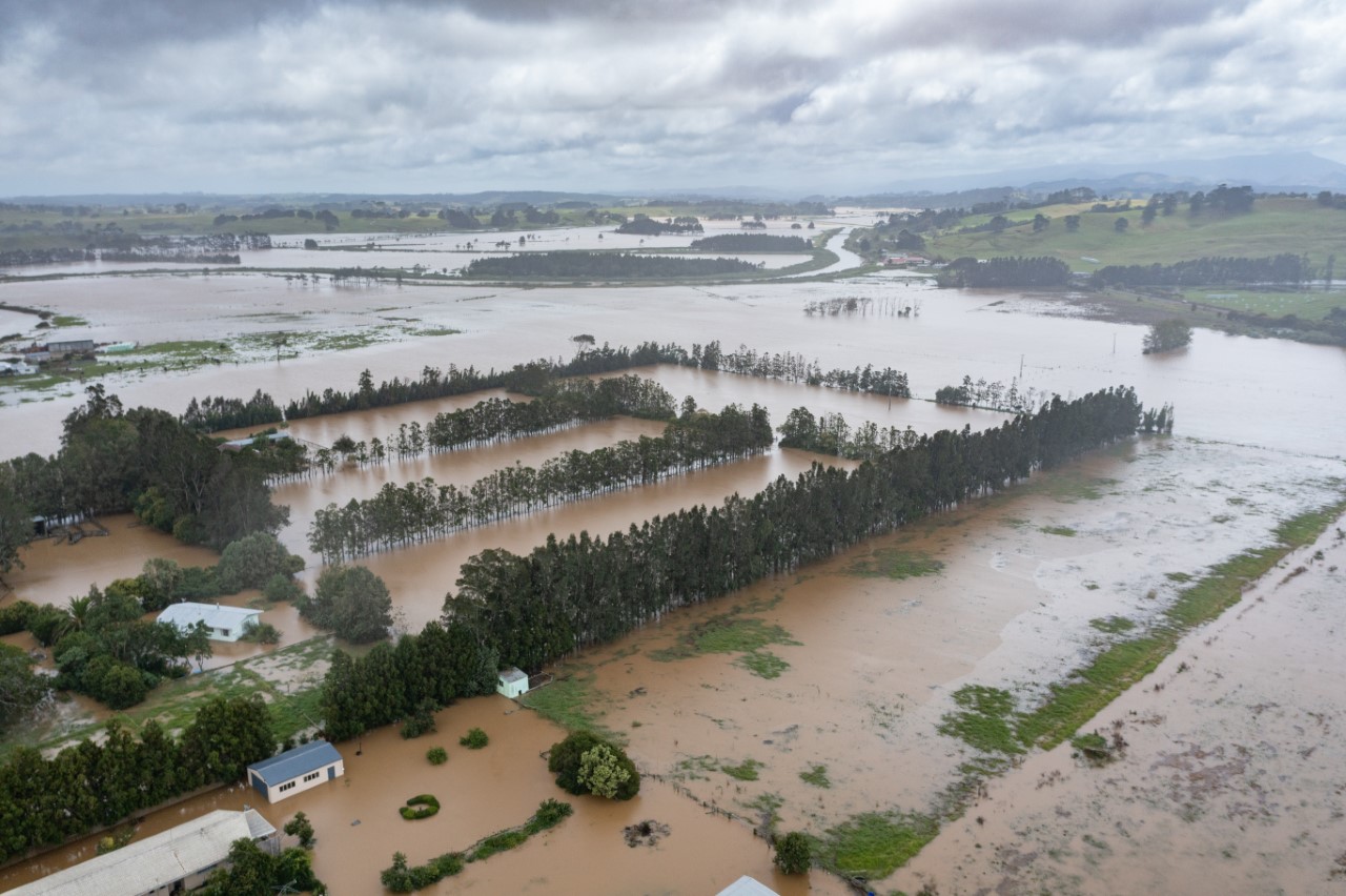 During Cyclone Gabrielle, as much as 340mm of rain fell across Kaipara in a 72-hour period, causing rivers in the area like the Kaihu, north of Dargaville, and the Wairoa River to the south to inundate surrounding farmland.   