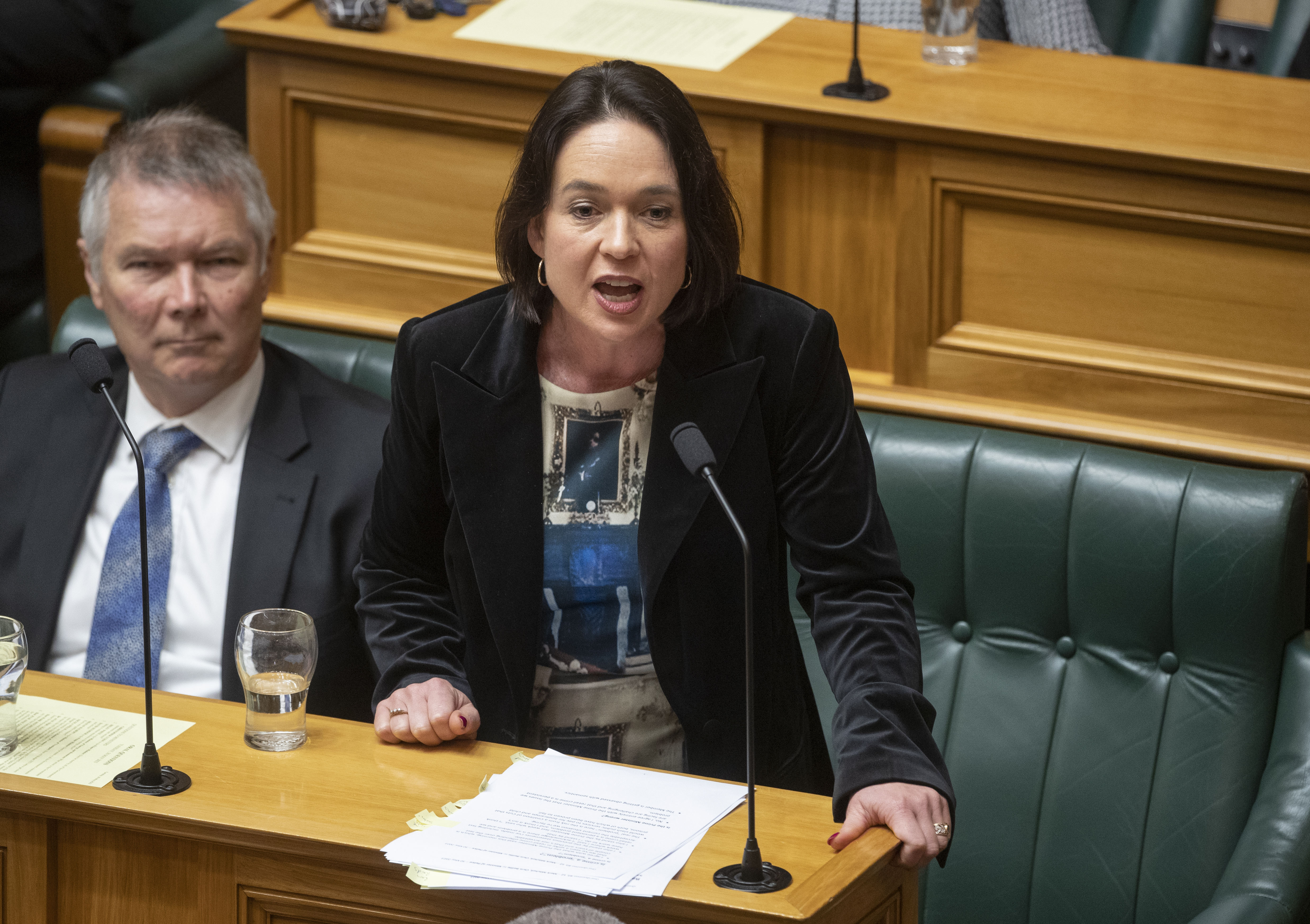 Police Minister Ginny Andersen wants her National opposite to front up after his comments. Photo / Mark Mitchell