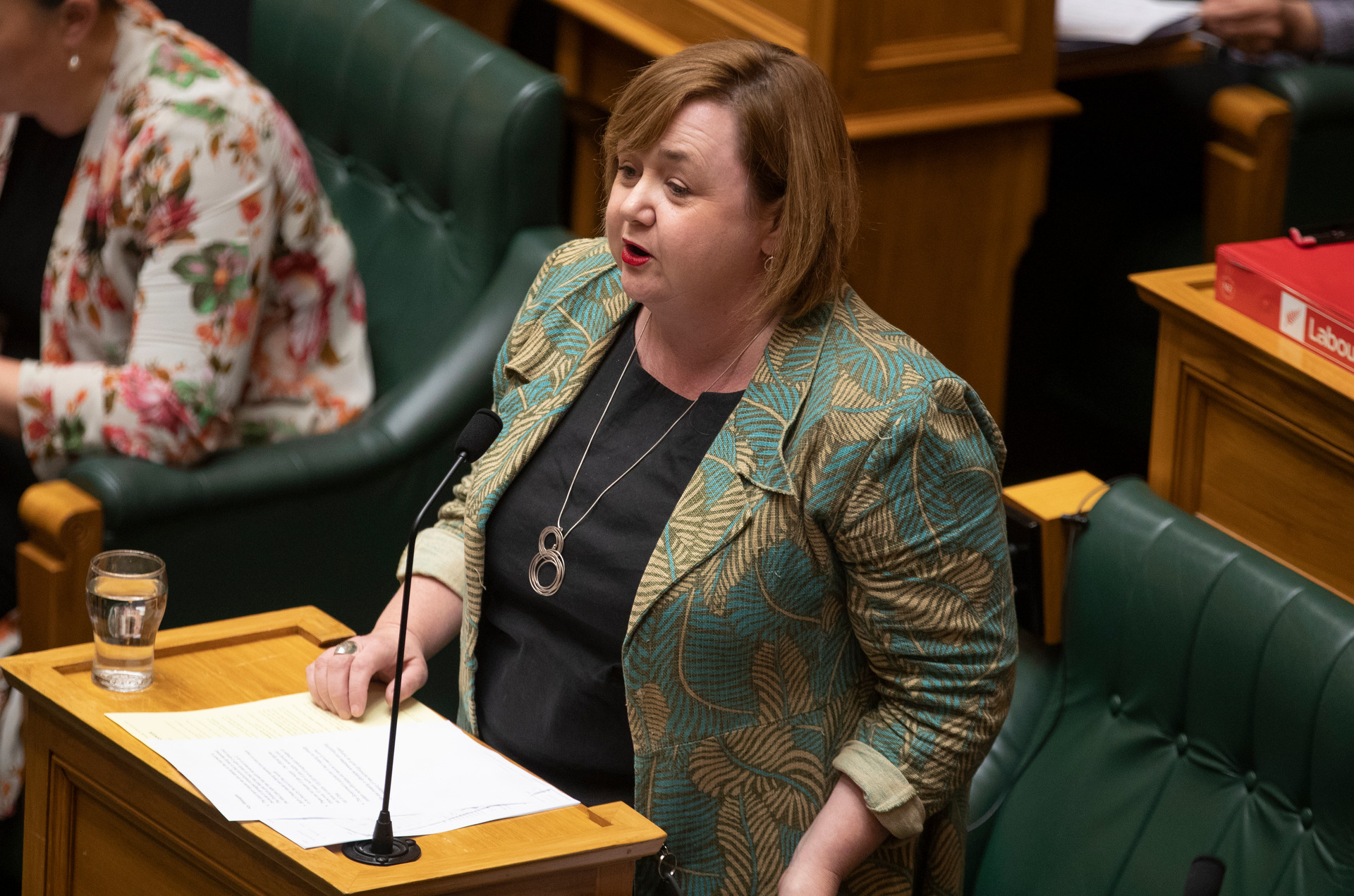 Energy Minister Megan Woods. Photo / Mark Mitchell