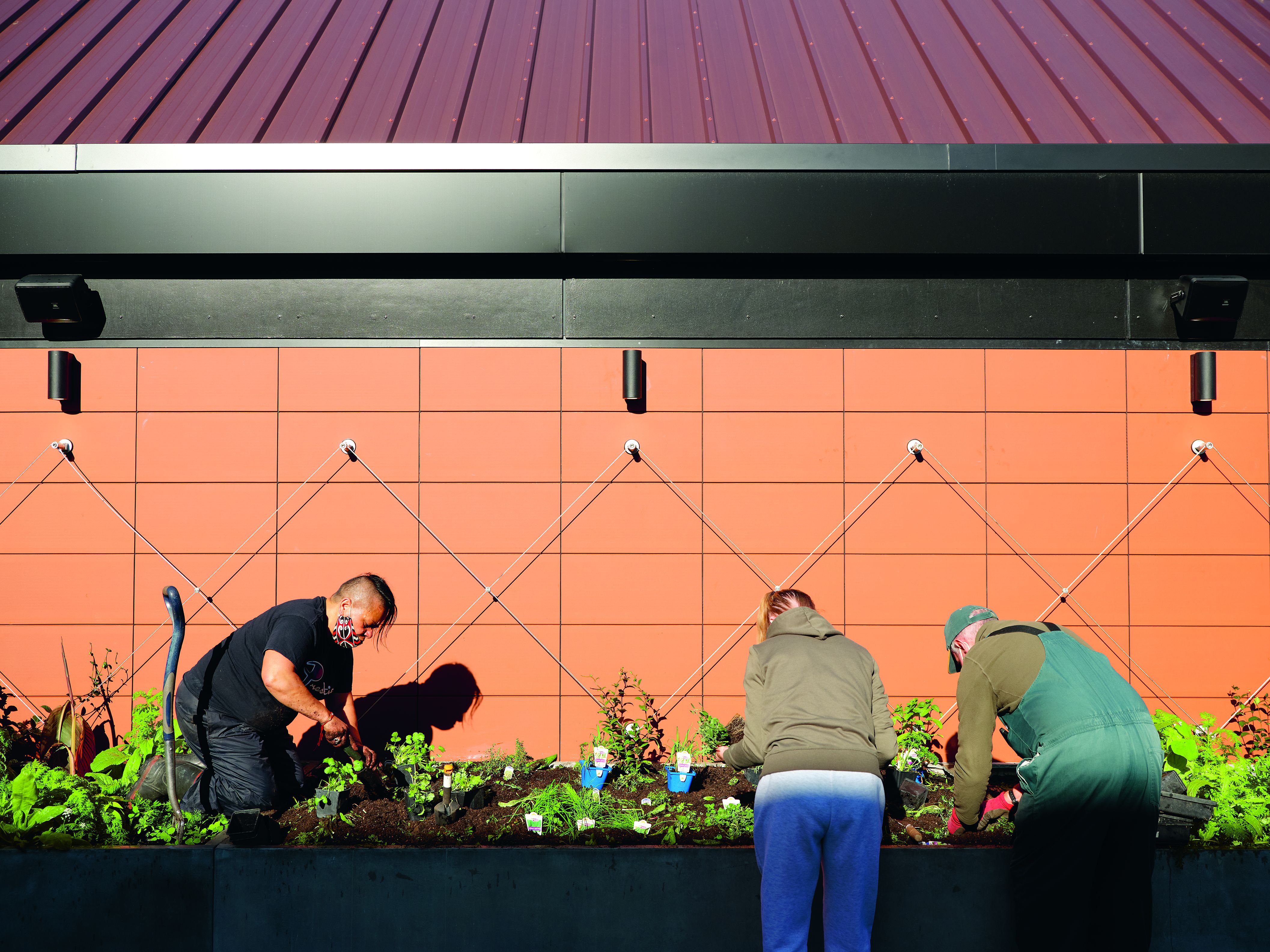 Lisa-Marie Peerdemen and other residents tend to the vegetable garden on the roof at HomeGround. Photo / Mark Smith