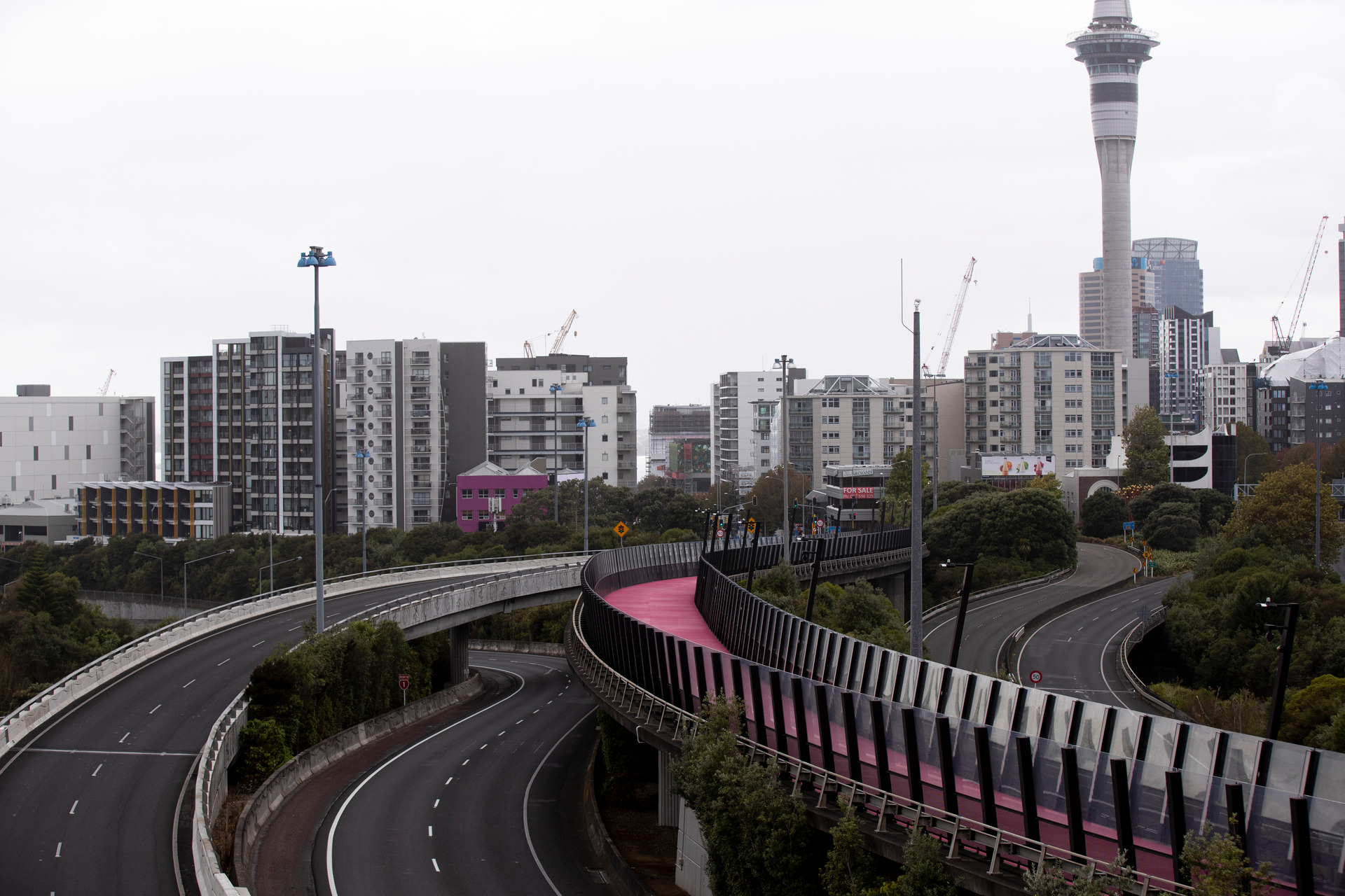 Participants said positive environmental effects were a silver lining of lockdown. Photo / NZ Herald 
