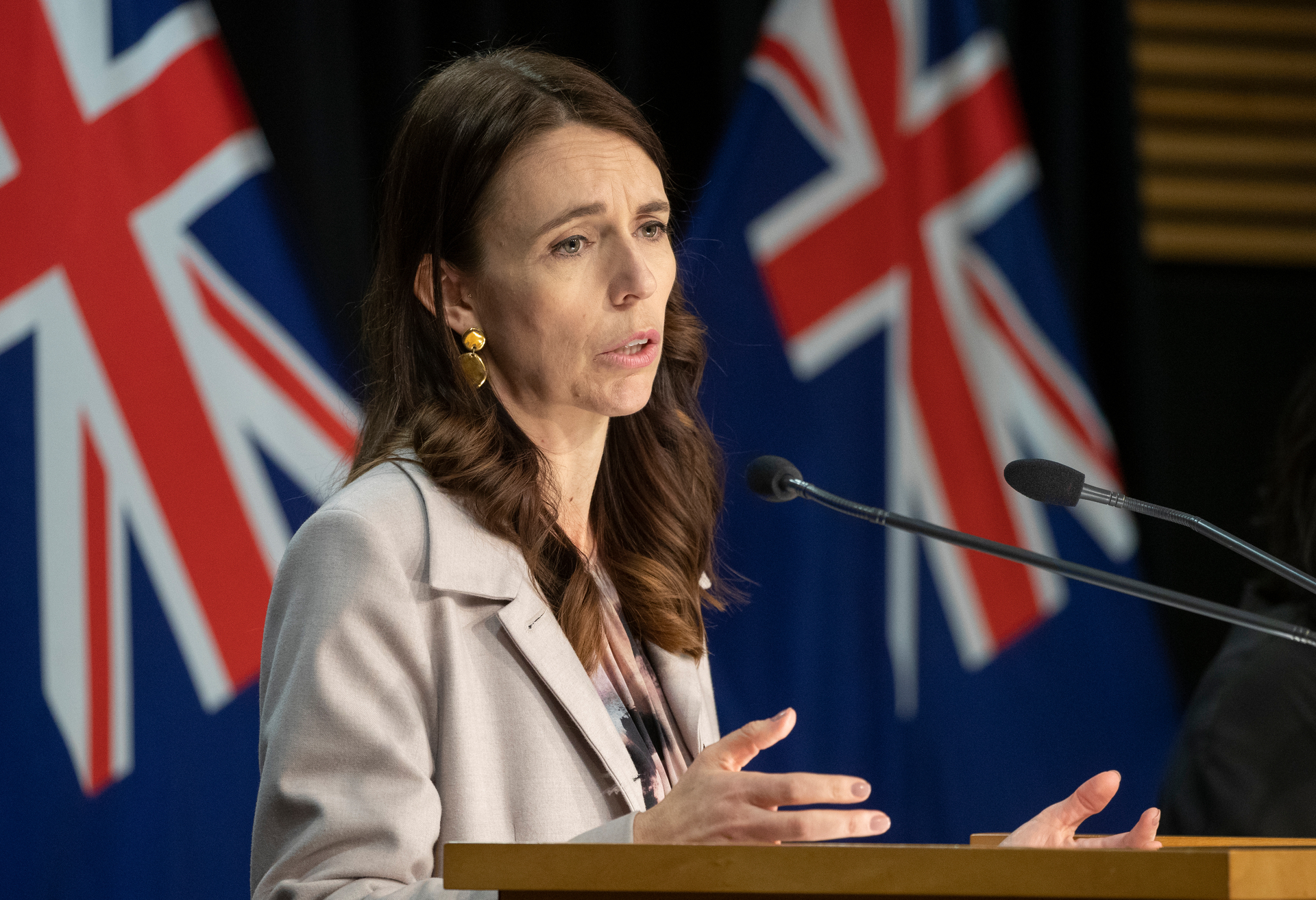 Prime Minister Jacinda Ardern. Photo / Mark Mitchell
