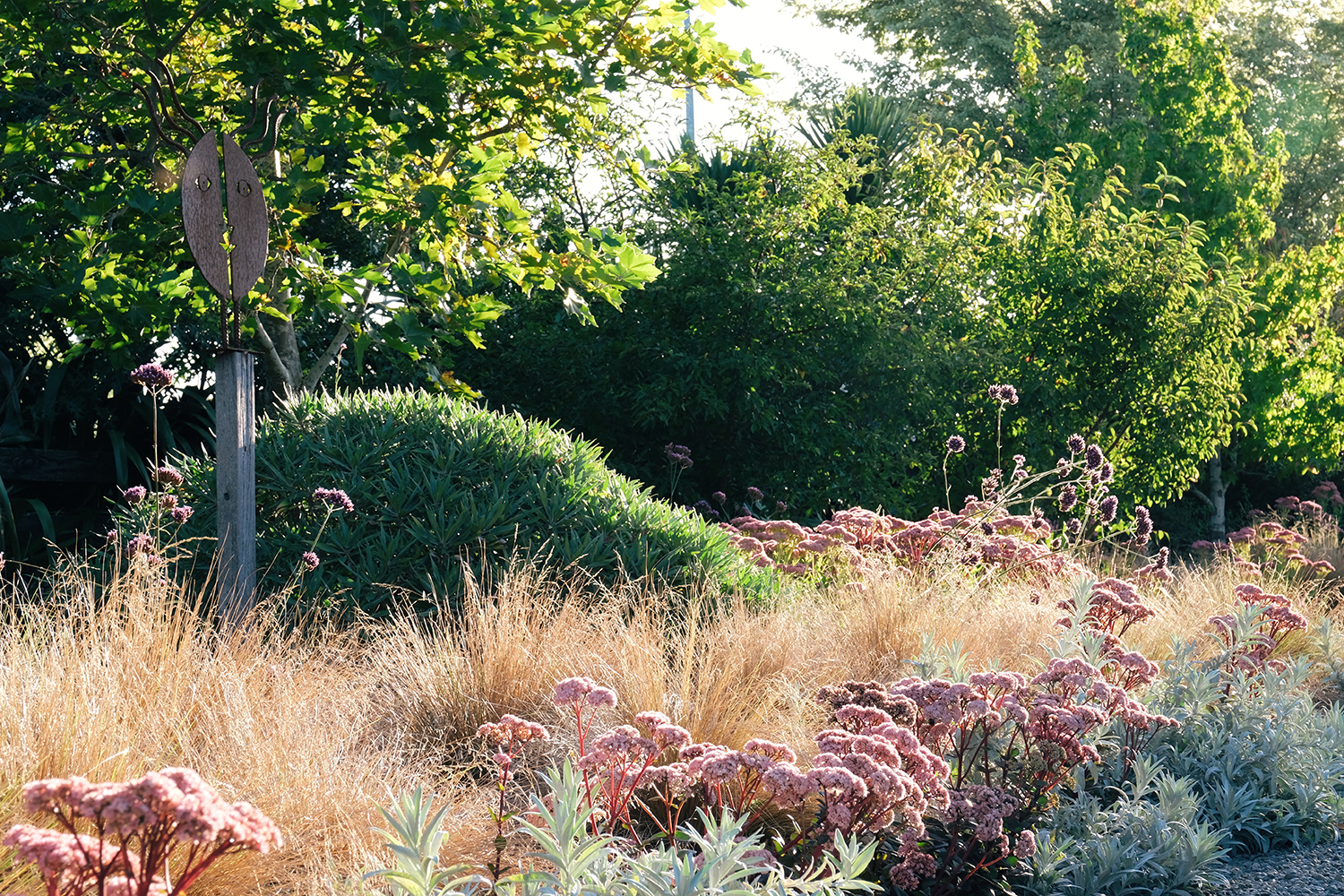 Drought-tolerant planting including Poa cita, Artemisia ‘Valerie Finnis’, Verbena bonariensis and Sedum ‘Autumn Joy’. Photo / Julia Atkinson-Dunn