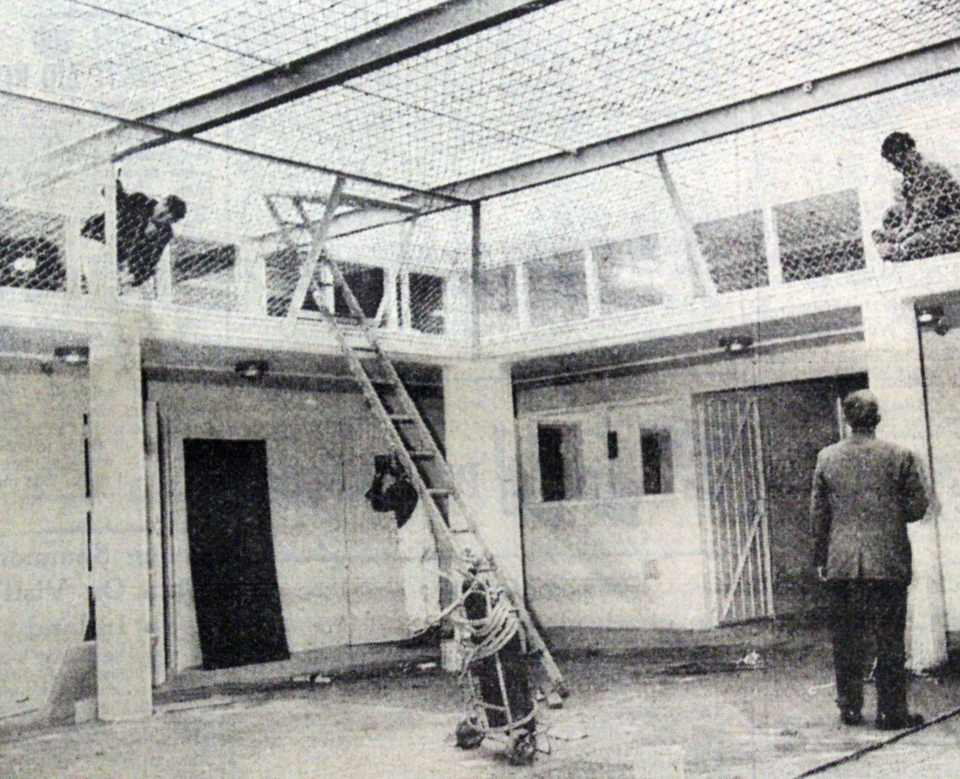 Construction of the security block at Kohitere which was to provide accommodation for 12 boys. Paora Sweeney says Kohitere turned him toward a life of crime. Photo / NZME