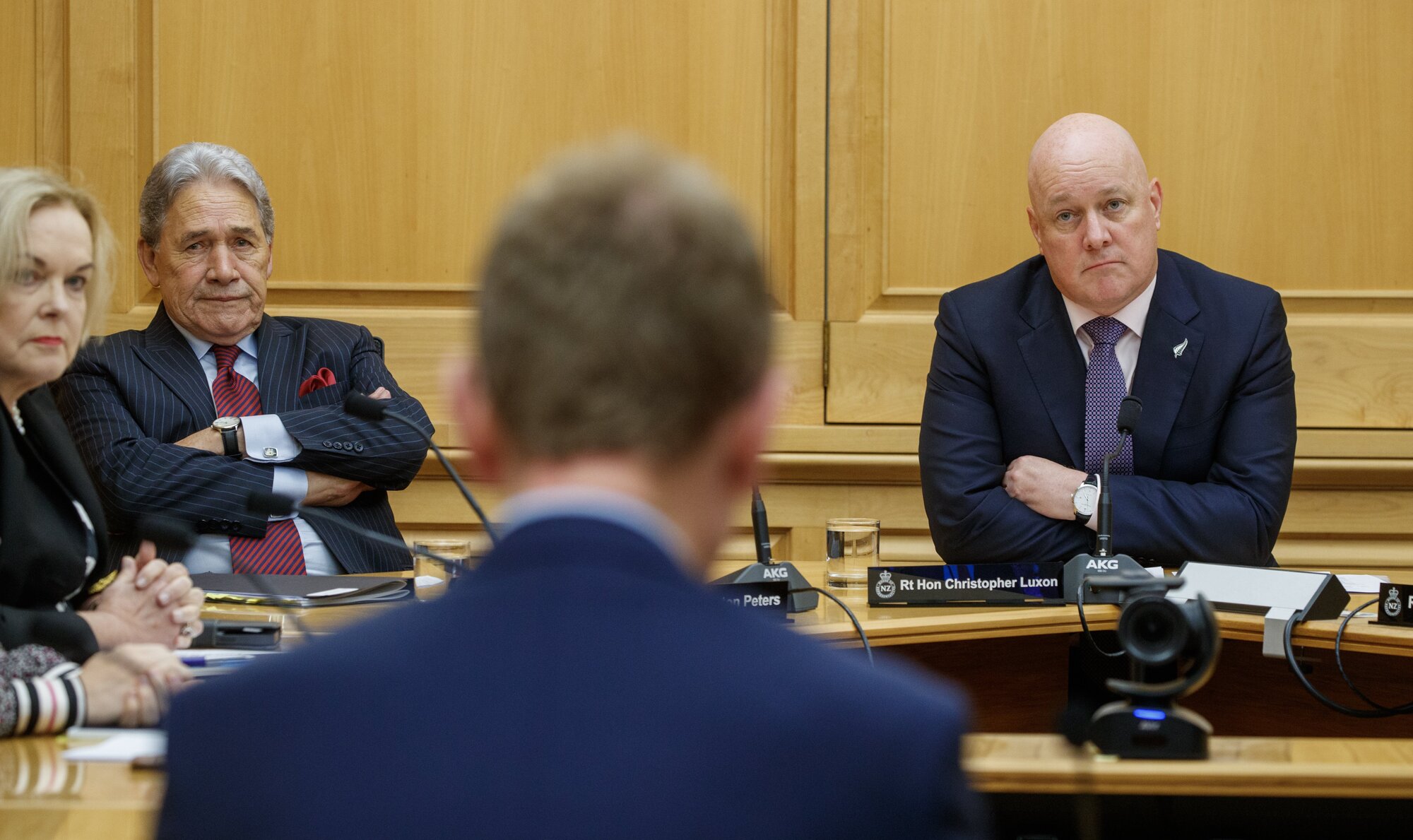 Prime Minister Christopher Luxon and Deputy Prime Minister Winston Peters are not happy about each other's trade policy. Photo / Mark Mitchell