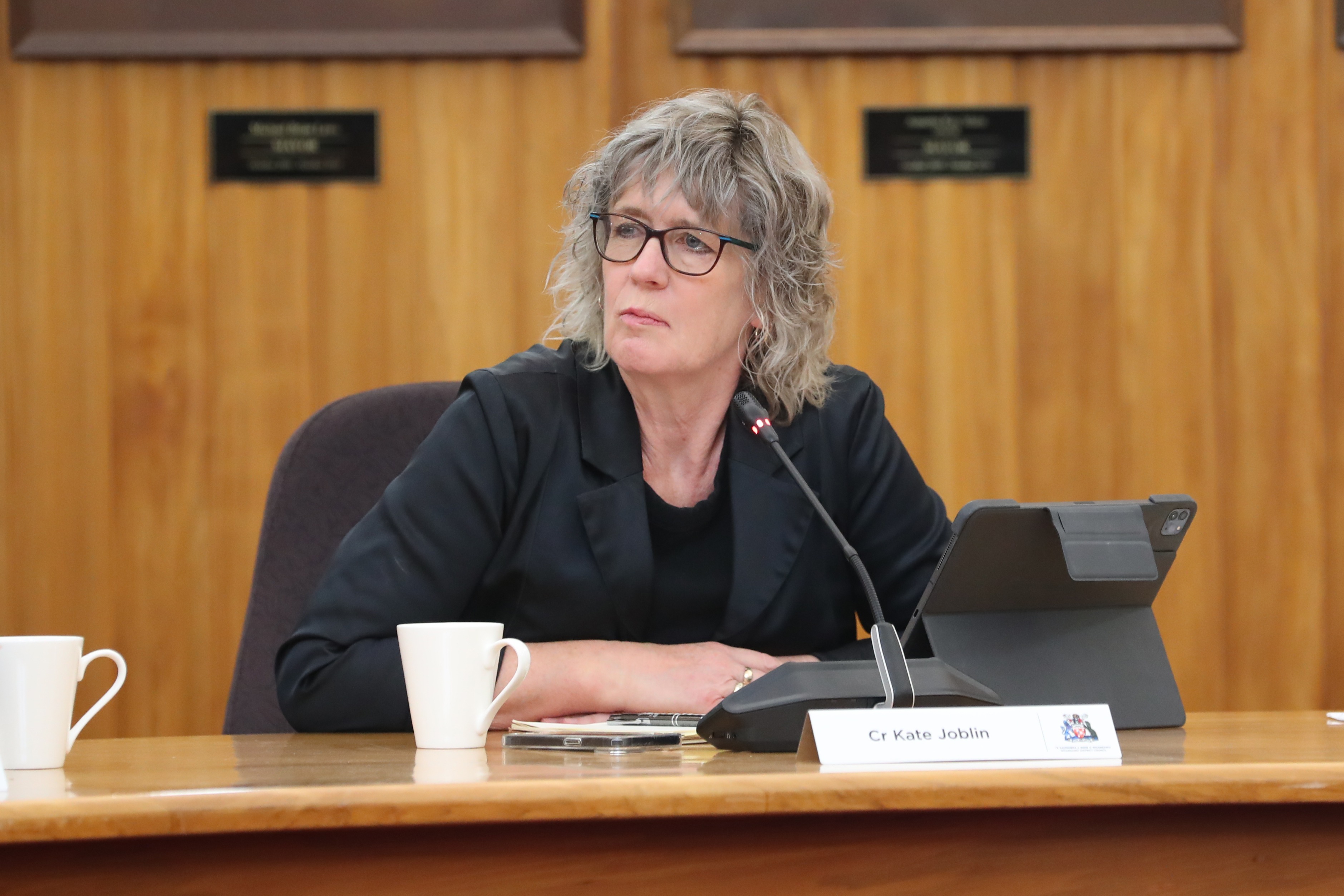 Councillor Kate Joblin says the proposal is an opportunity 