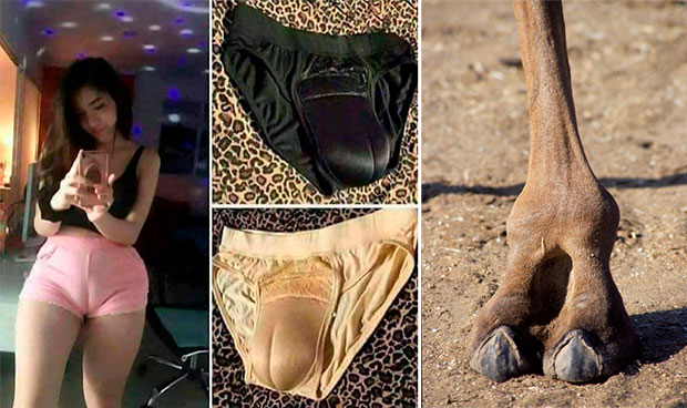 Internet Reacts to Fake Camel Toe Underwear Fashion Trend in Asia