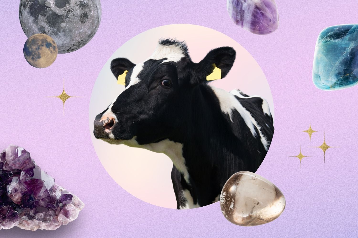Ancient beauty ingredients are making a comeback, but one in particular is making moo-ves on TikTok. Collage / Ashleigh Cometti