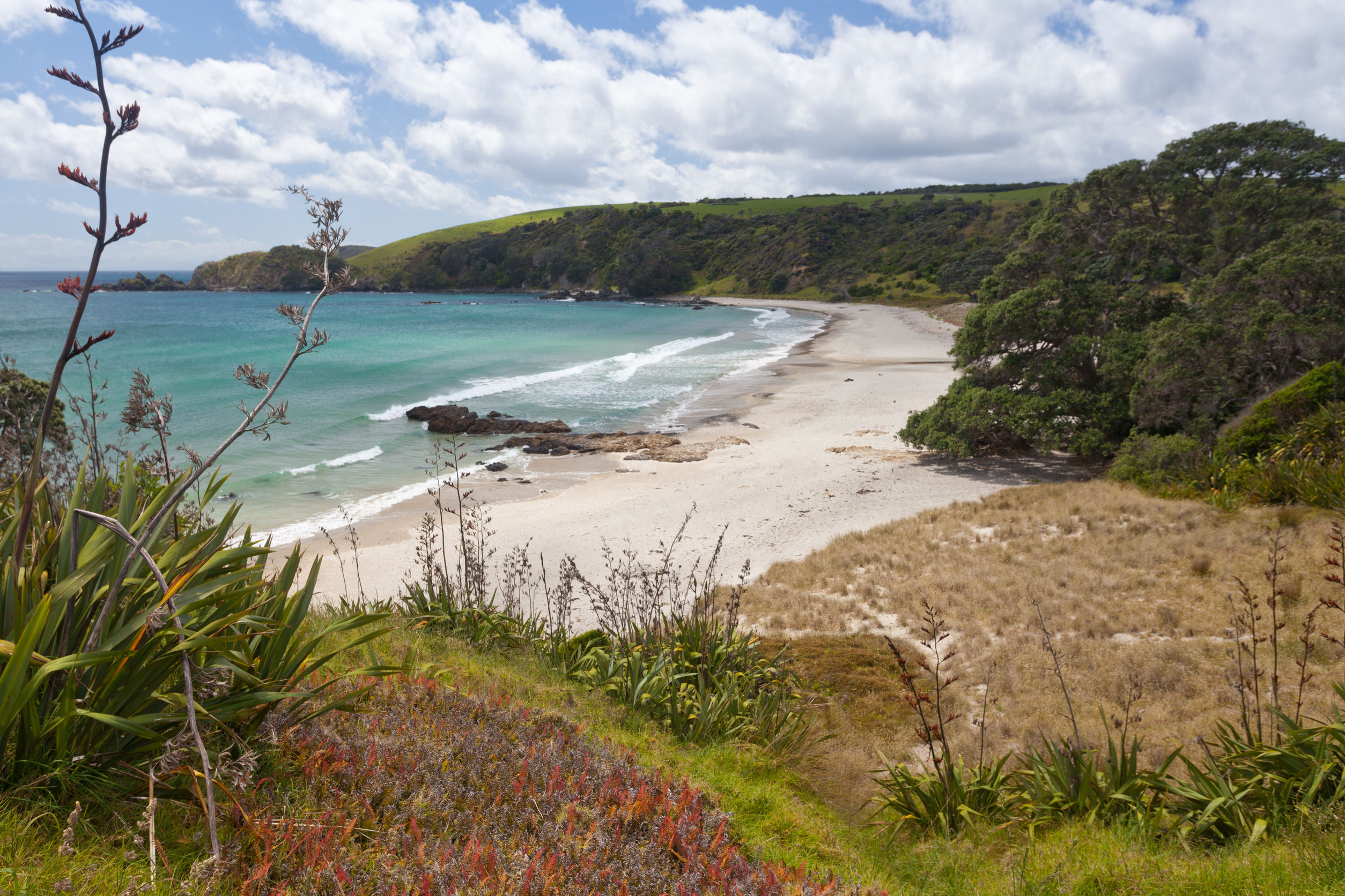 Tāwharanui Regional Park.