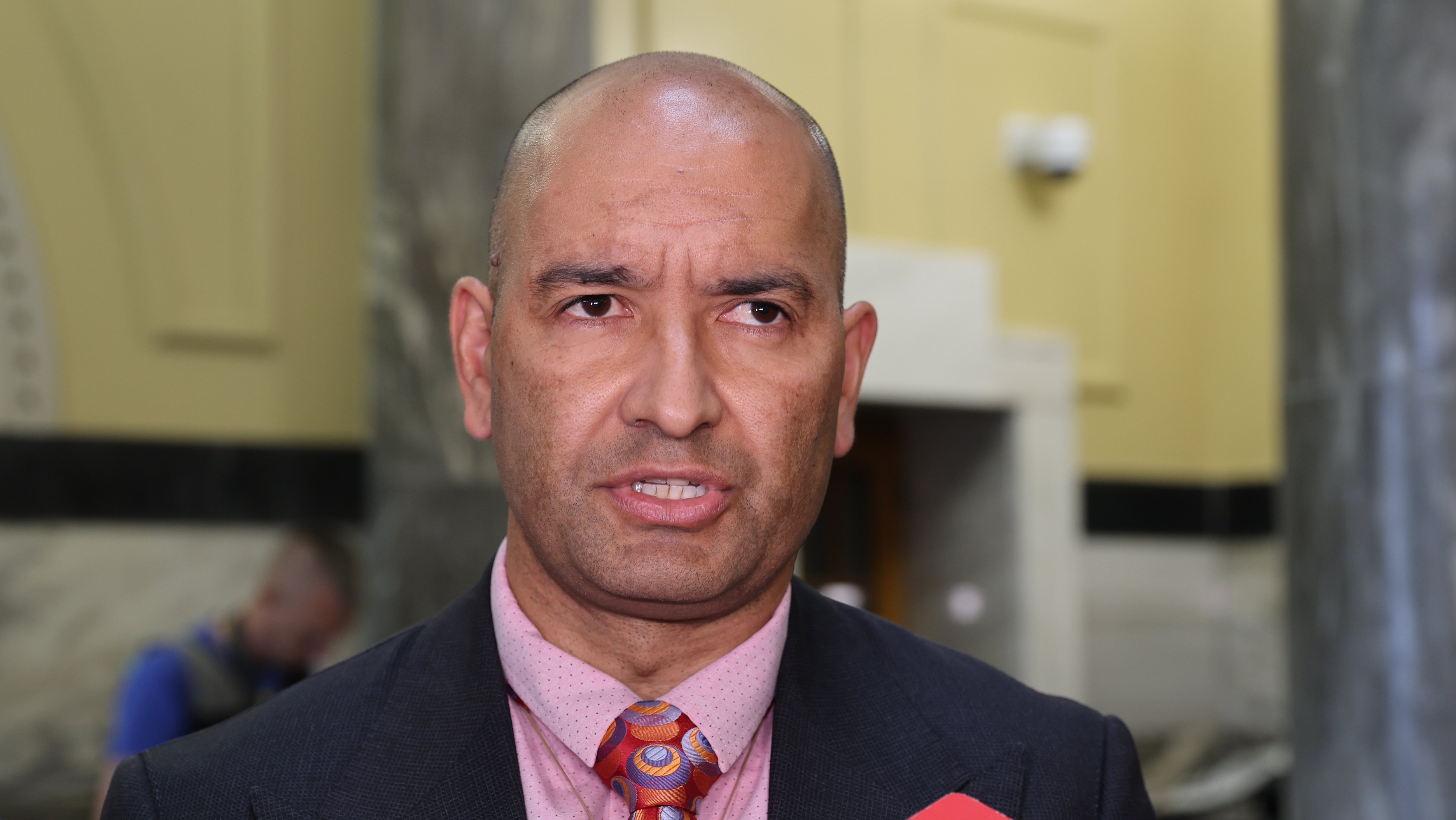 Associate Housing Minister Tama Potaka. Photo / Mark Mitchell