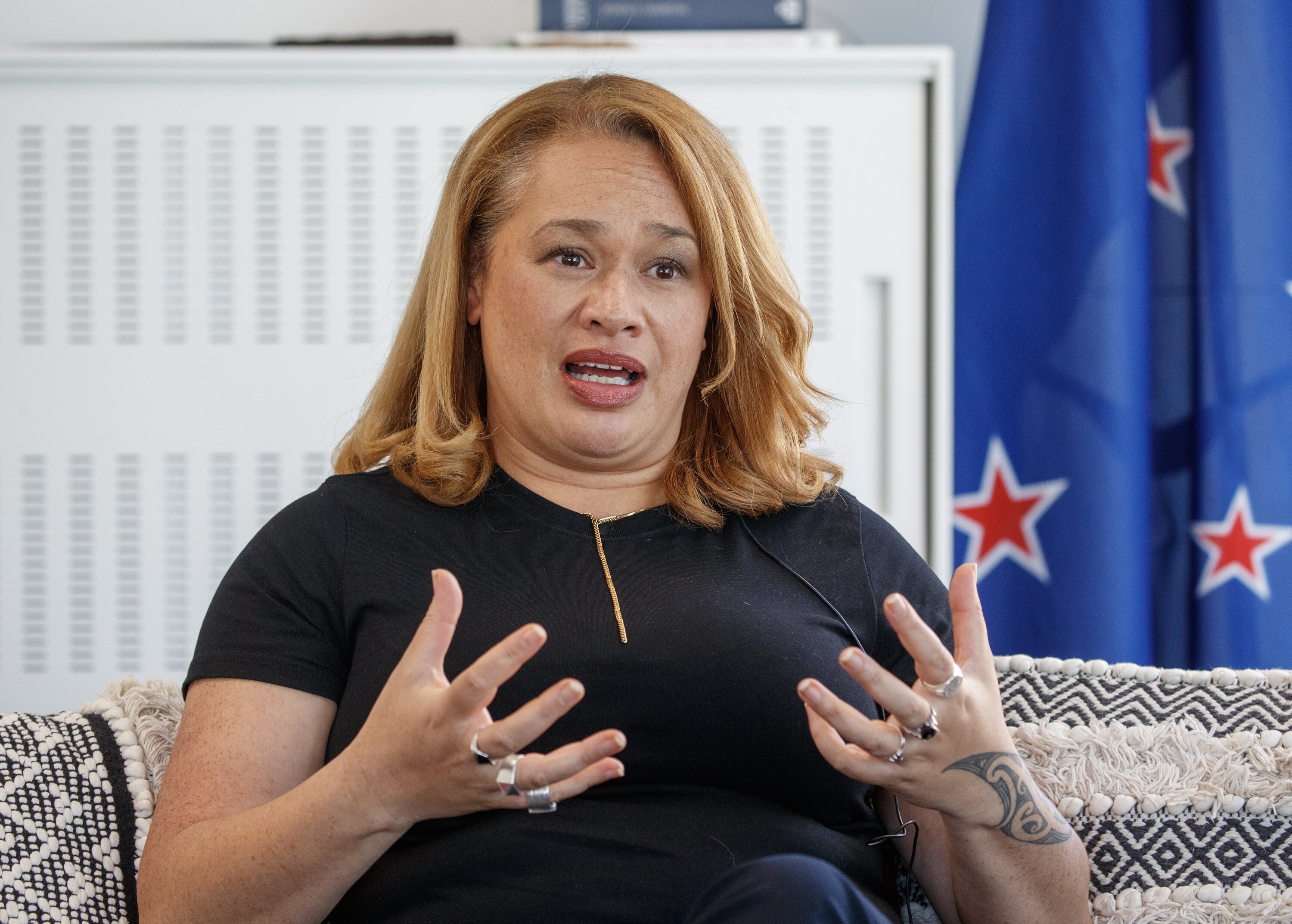 Wellington mayor Tory Whanau has requested council staff review and provide advice on the future of 14 projects. Photo / Mark Mitchell