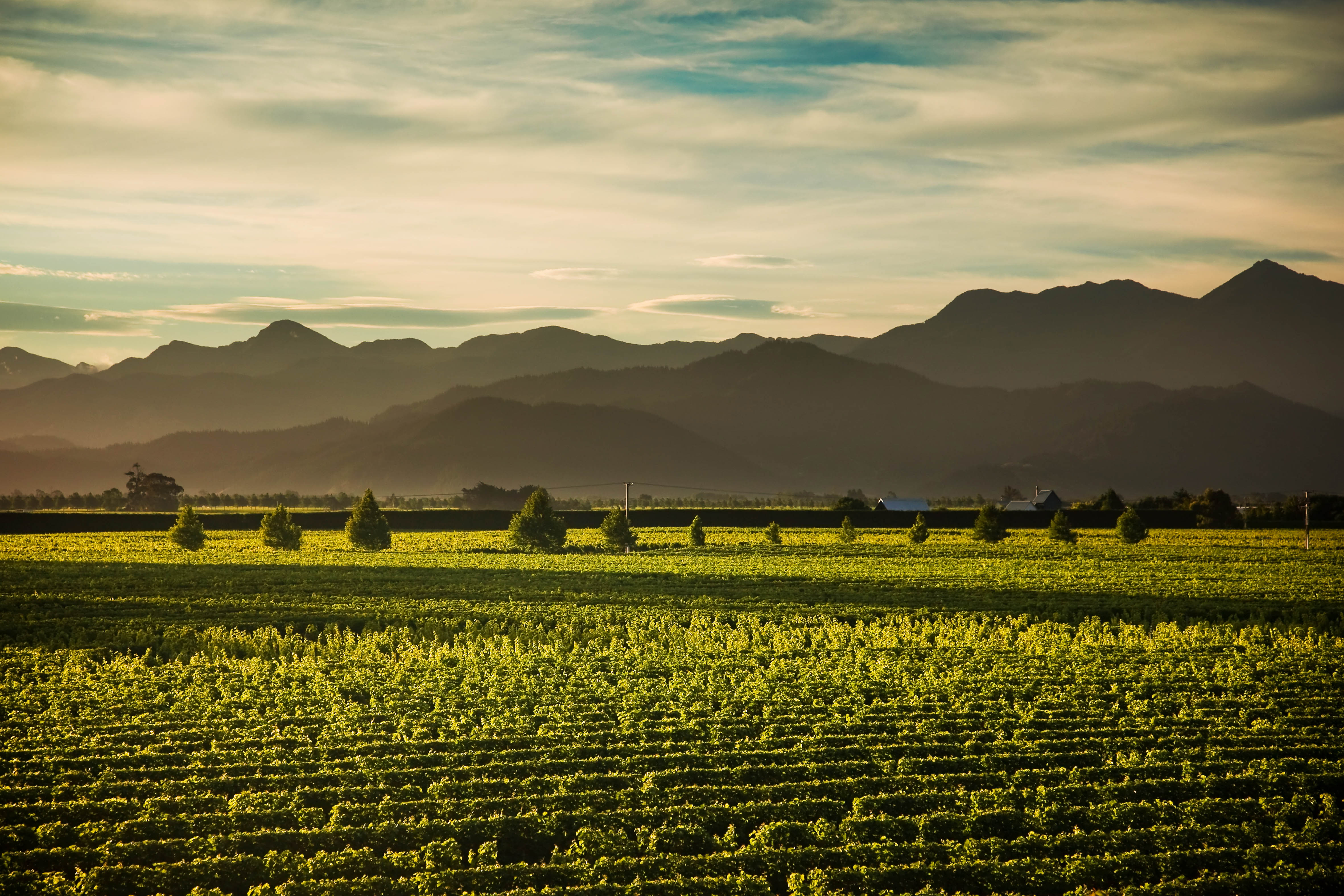 Exploring A Taste Of The Marlborough Region With Cloudy Bay - NZ Herald