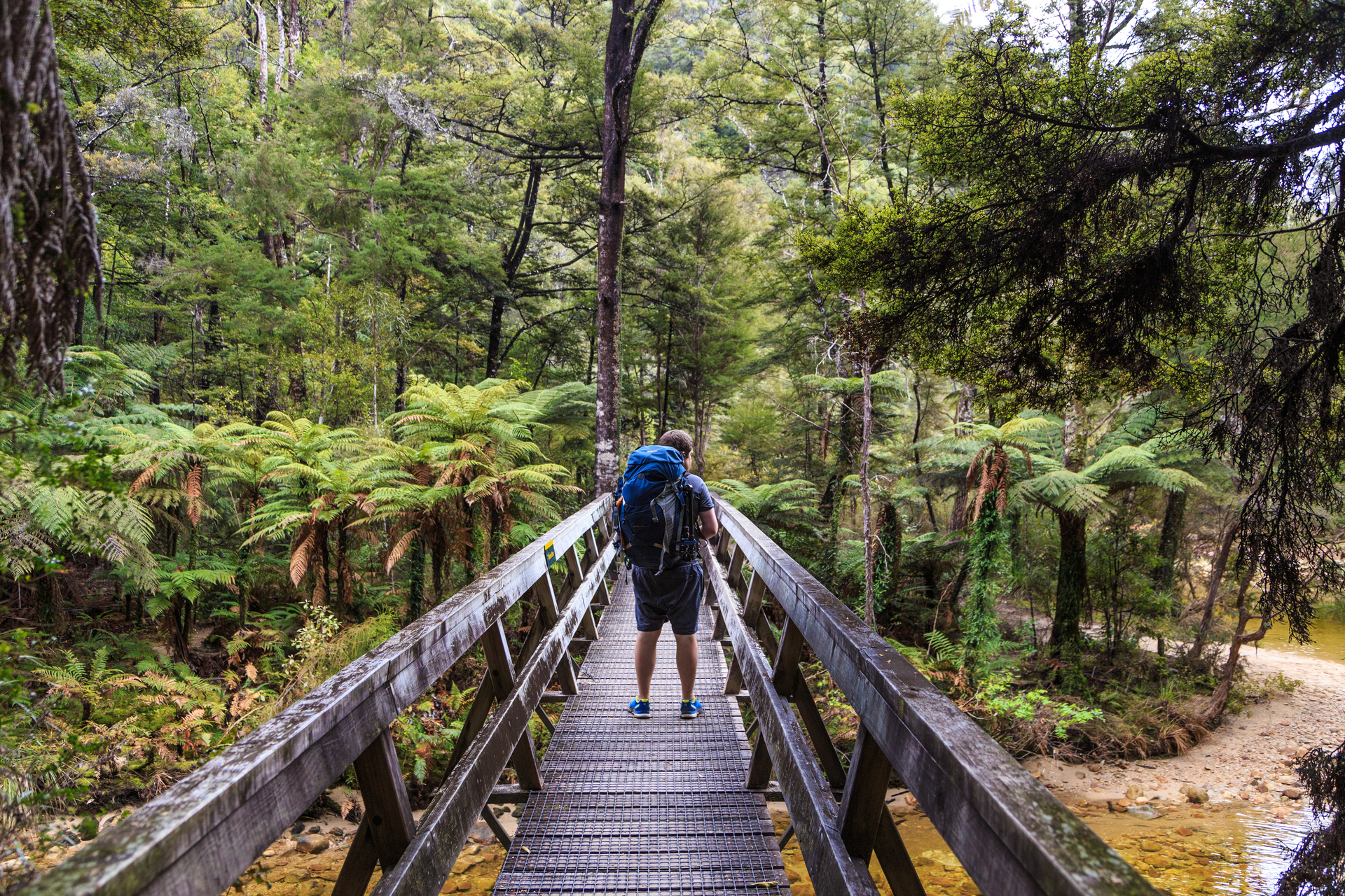 A hiker crosses a bridge on the Abel Tasman Coast Track. Photo / Tamzin Henderson