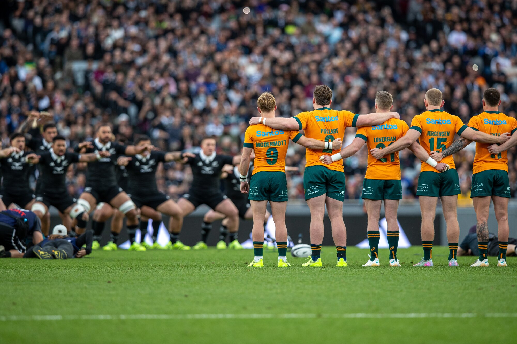 The All Blacks perform their haka ahead of last weekend's match against Australia at Eden Park. Photo / Alyse Wright