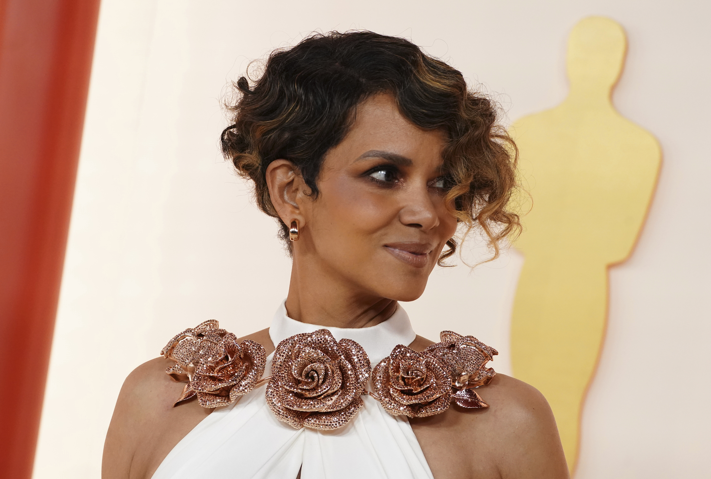 Halle Berry reveals doctor misdiagnosed her perimenopause symptoms as  herpes - NZ Herald