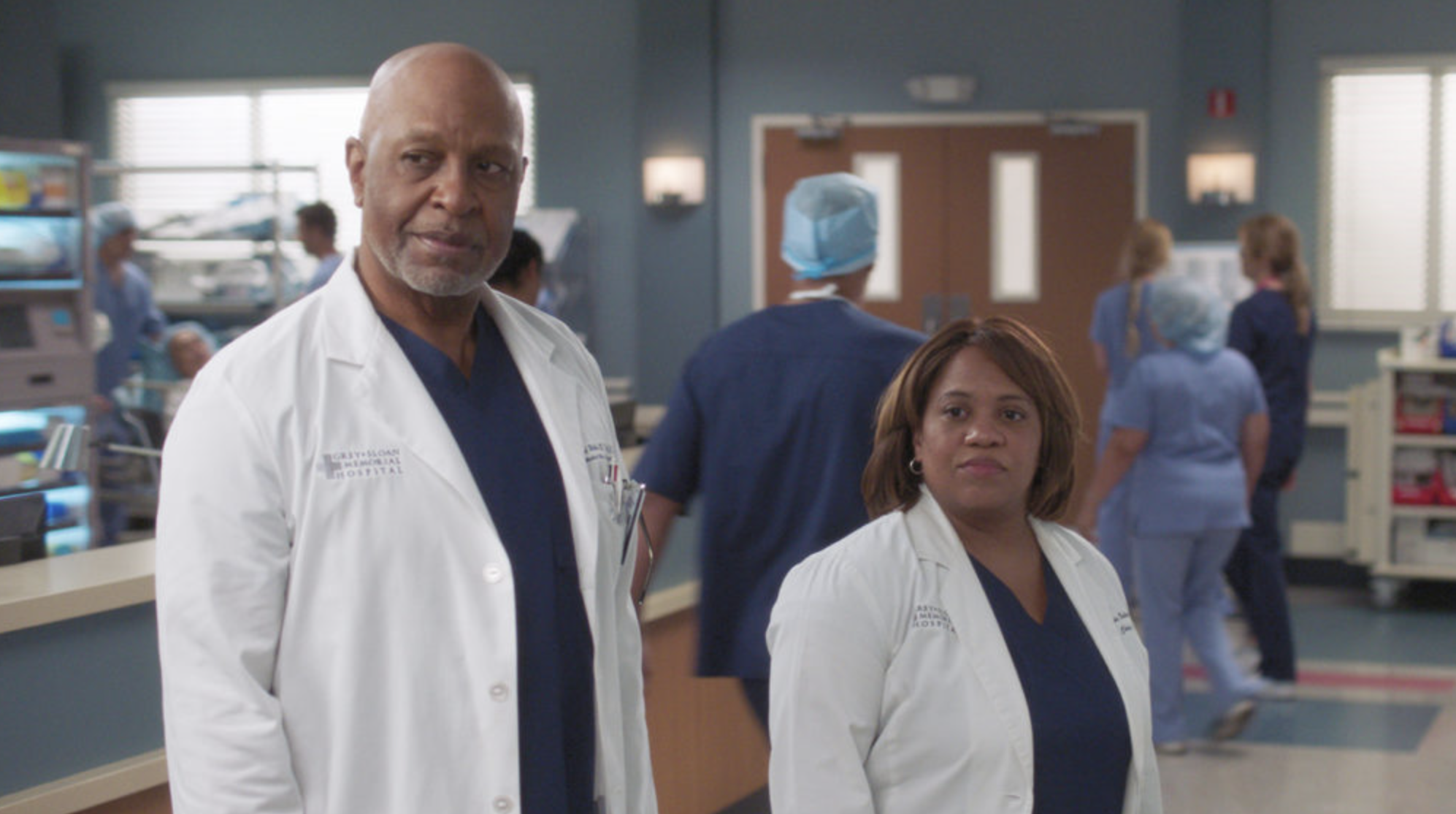 Richard Webber and Miranda Bailey are the blueprint for work husband and wife.