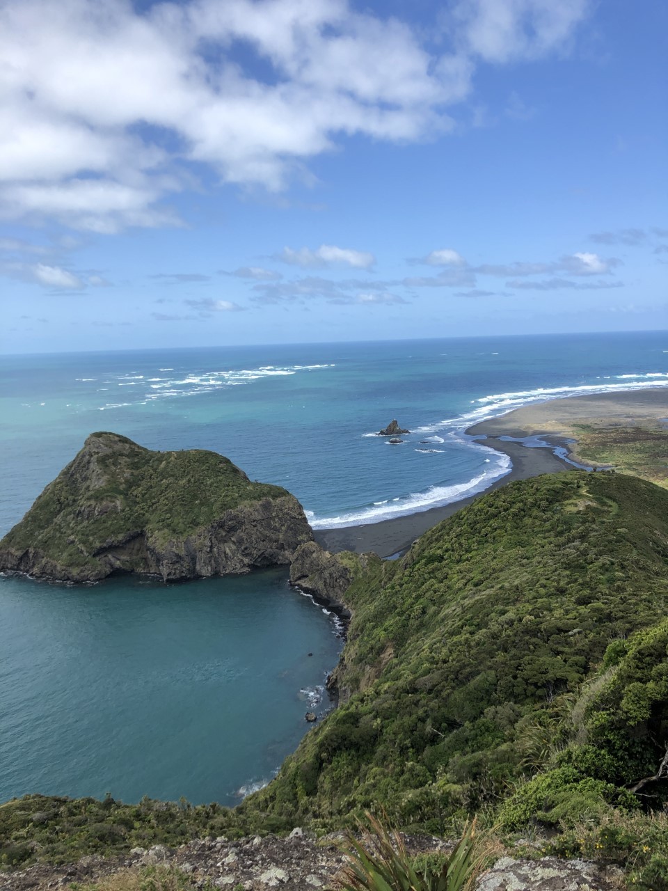 A view of Whatipū from the Omanawanui track in the Waitākere Ranges. Photo / Auckland Council