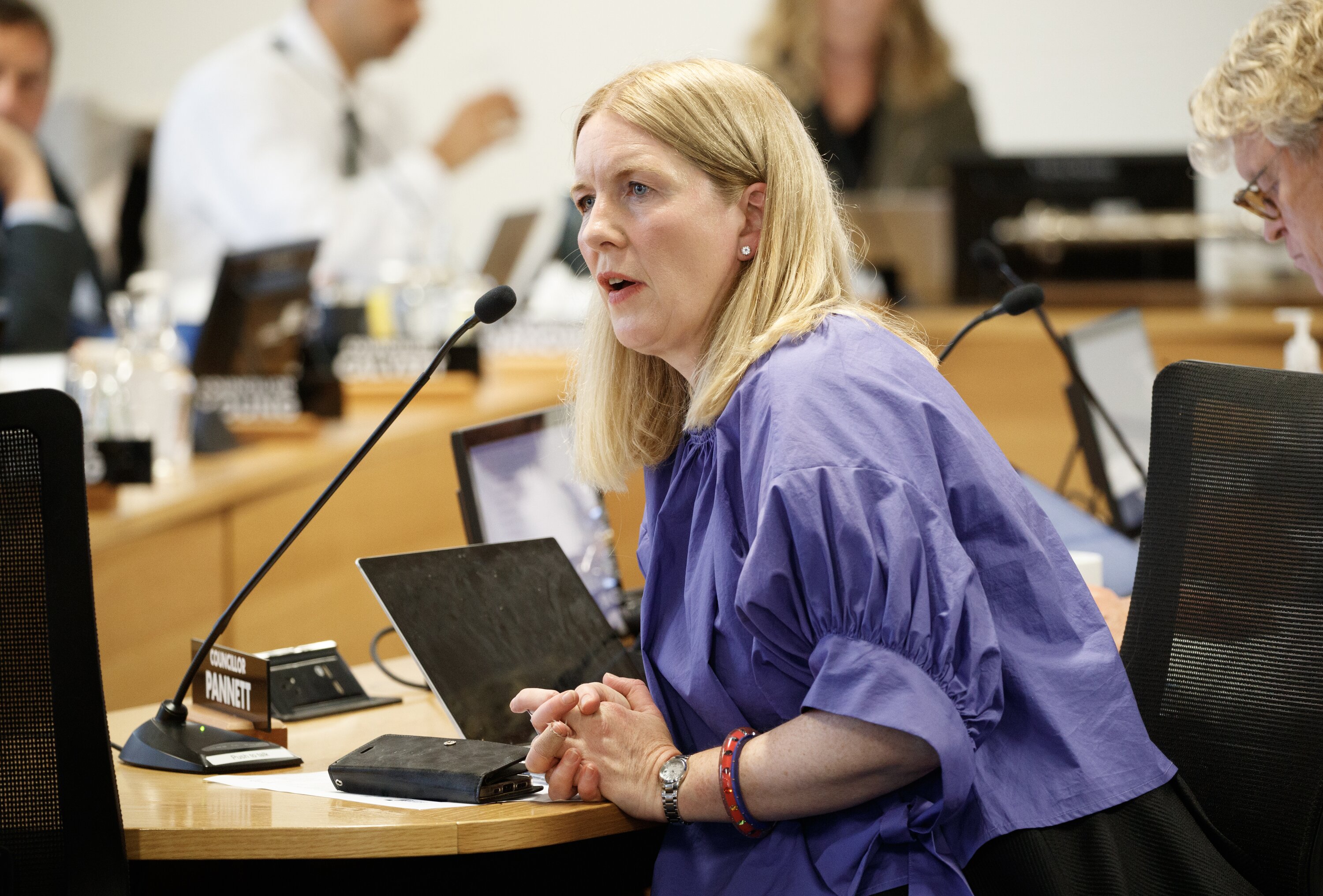 Councillor Iona Pannett said she was unimpressed. Photo / Mark Mitchell.