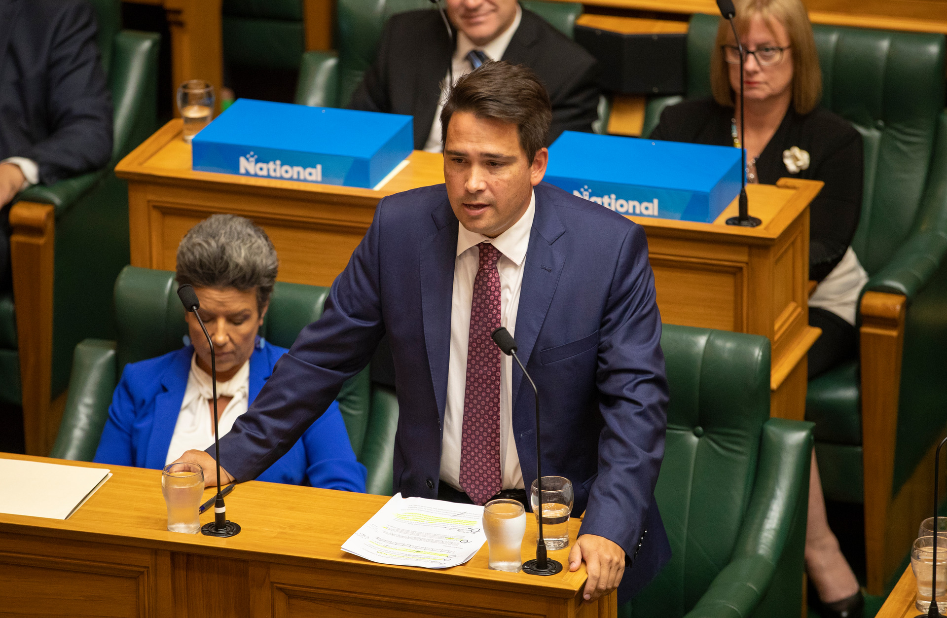 National leader Simon Bridges. Photo / Mark Mitchell